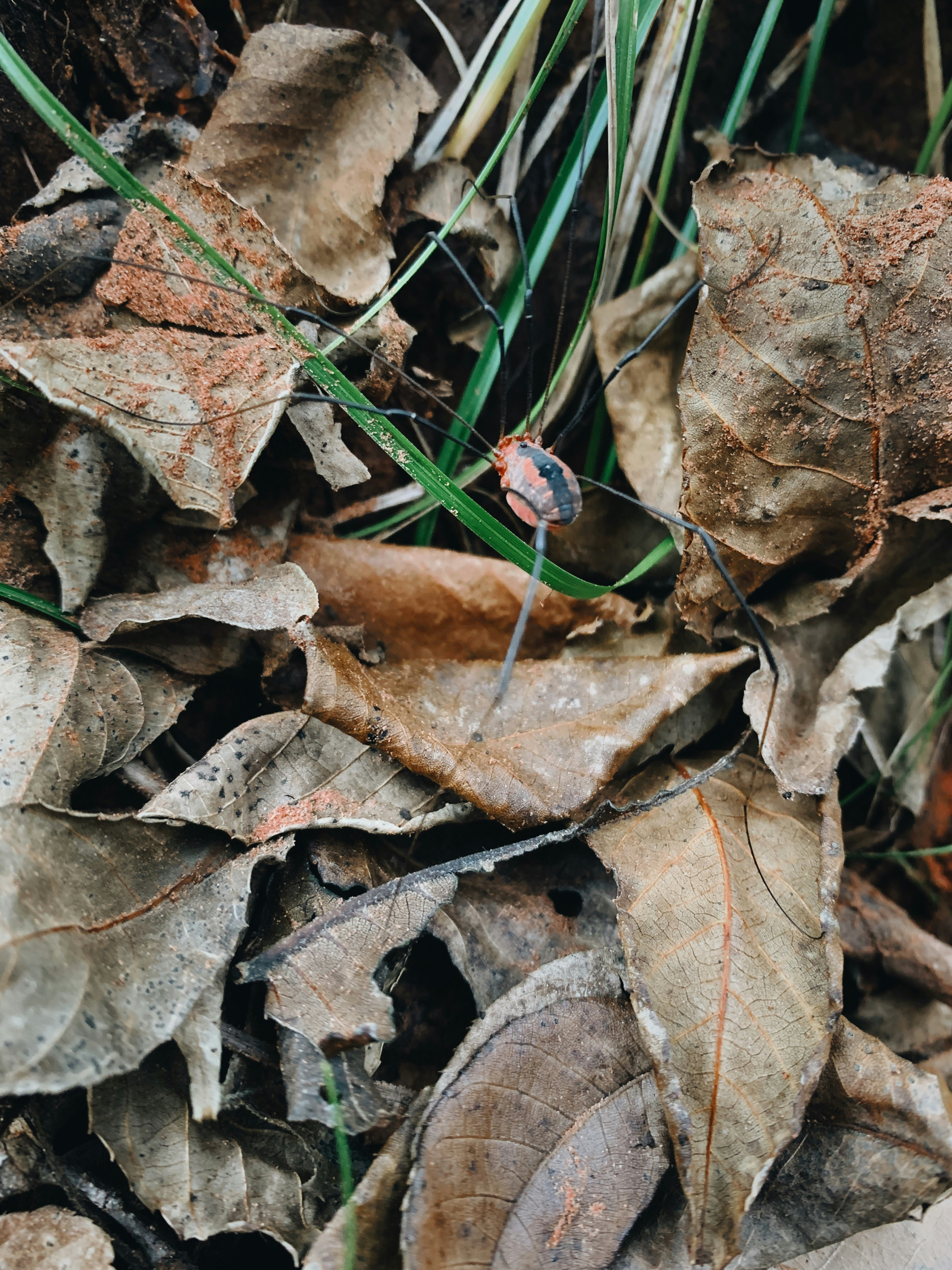 Photo by bondomovies