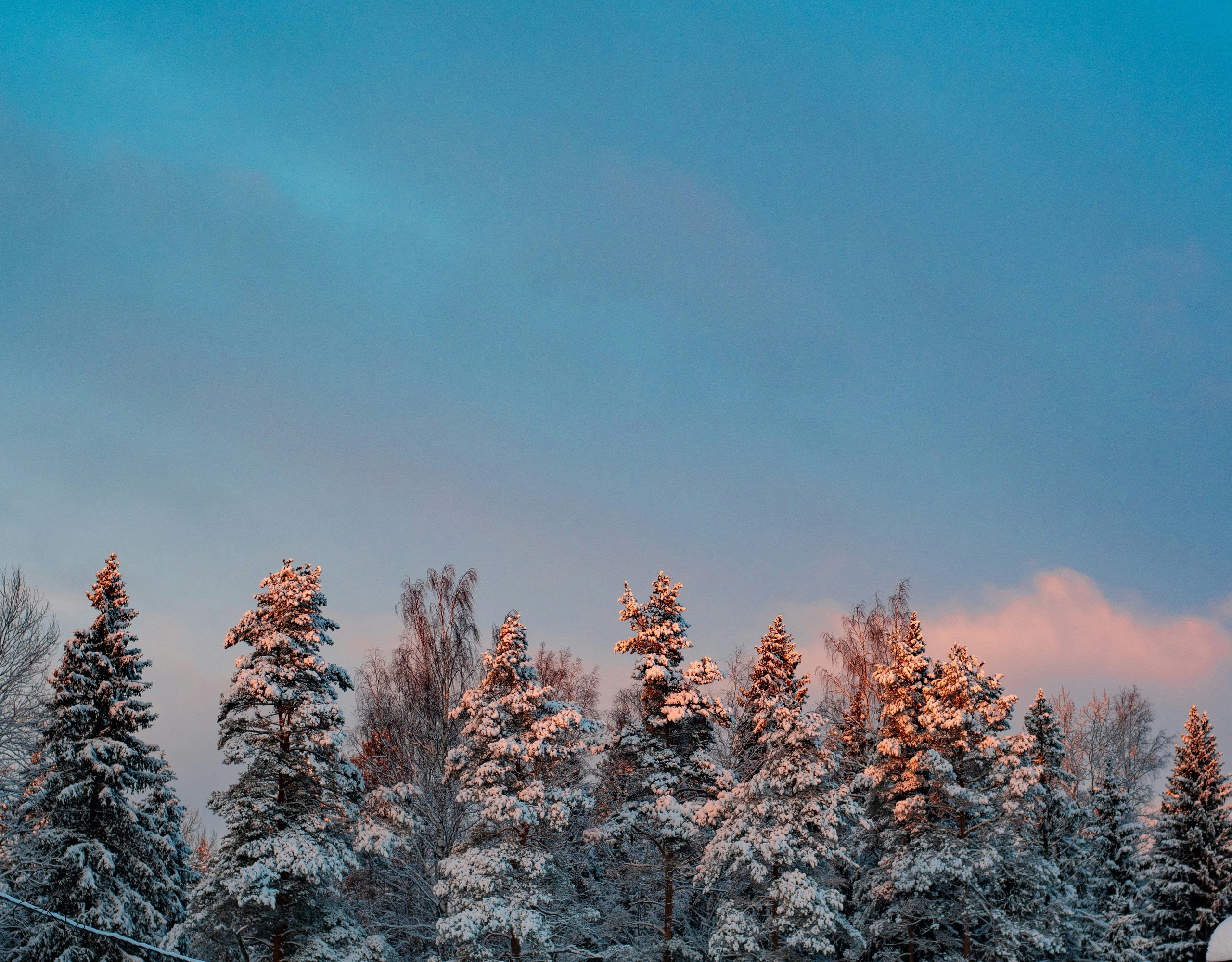 Photo by nataliaraylenegusakova