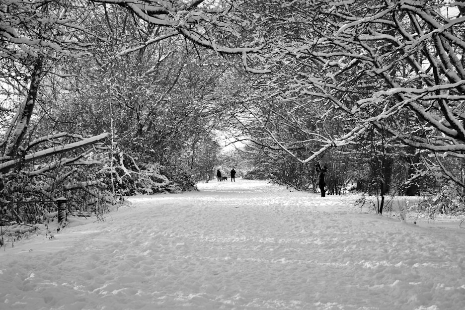 people walking on a snowy path