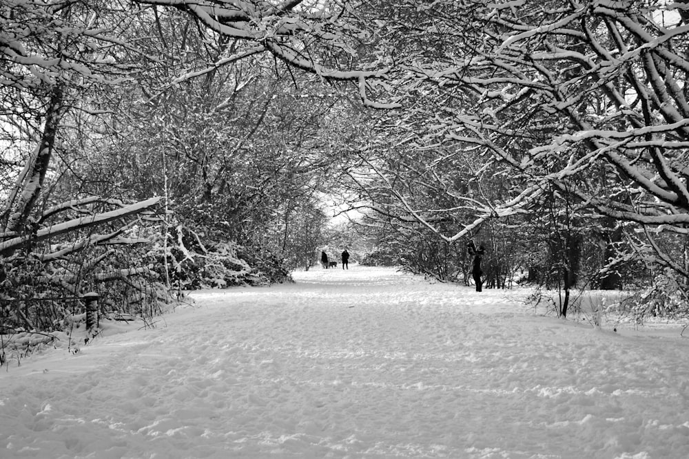 people walking on a snowy path