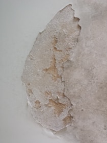 A section of wall with peeling paint, revealing the underlying plaster. The texture is rough and uneven, with patches of discoloration.