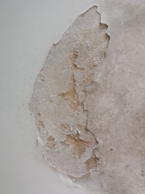 A section of wall with peeling paint, revealing the underlying plaster. The texture is rough and uneven, with patches of discoloration.