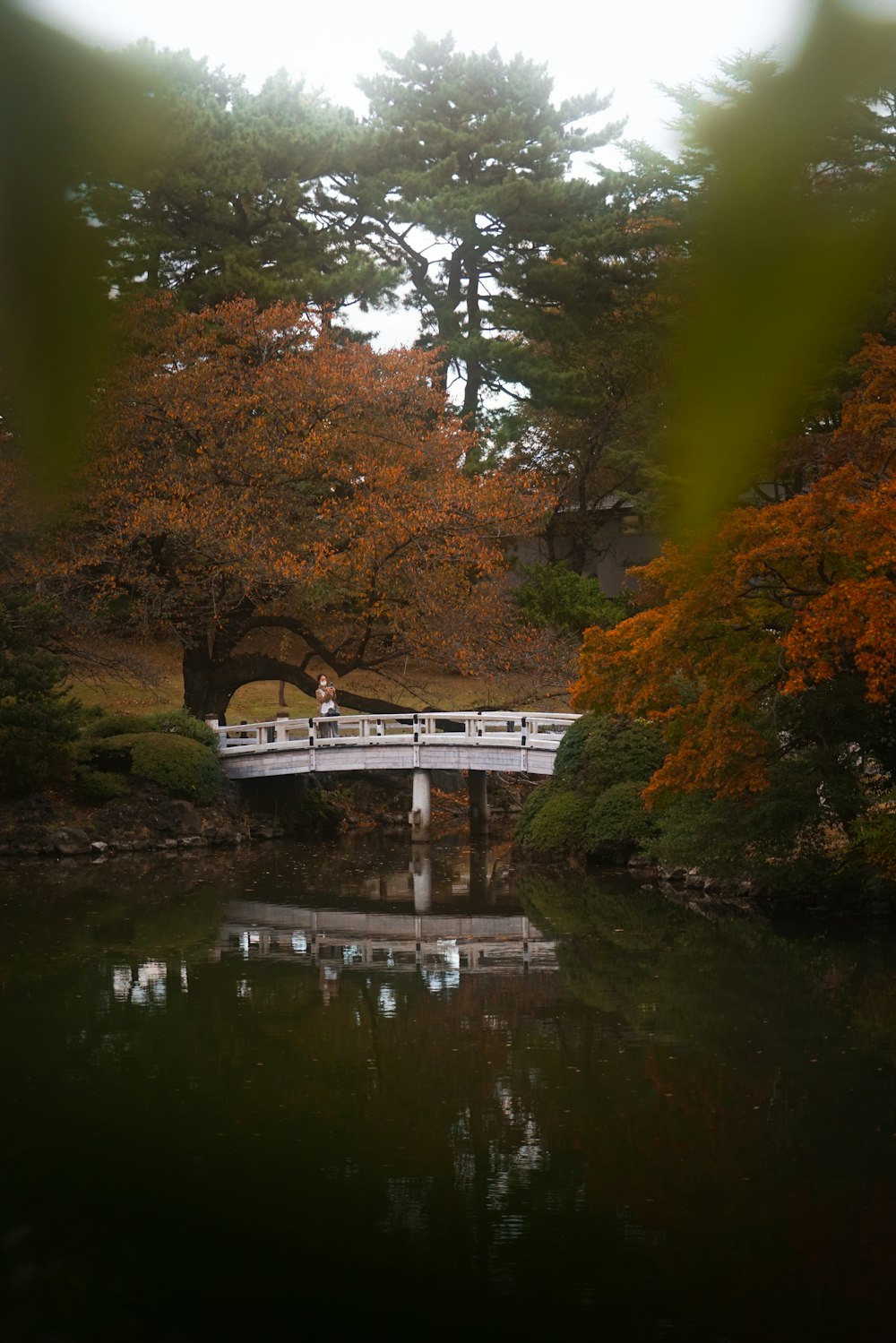 a bridge over a river