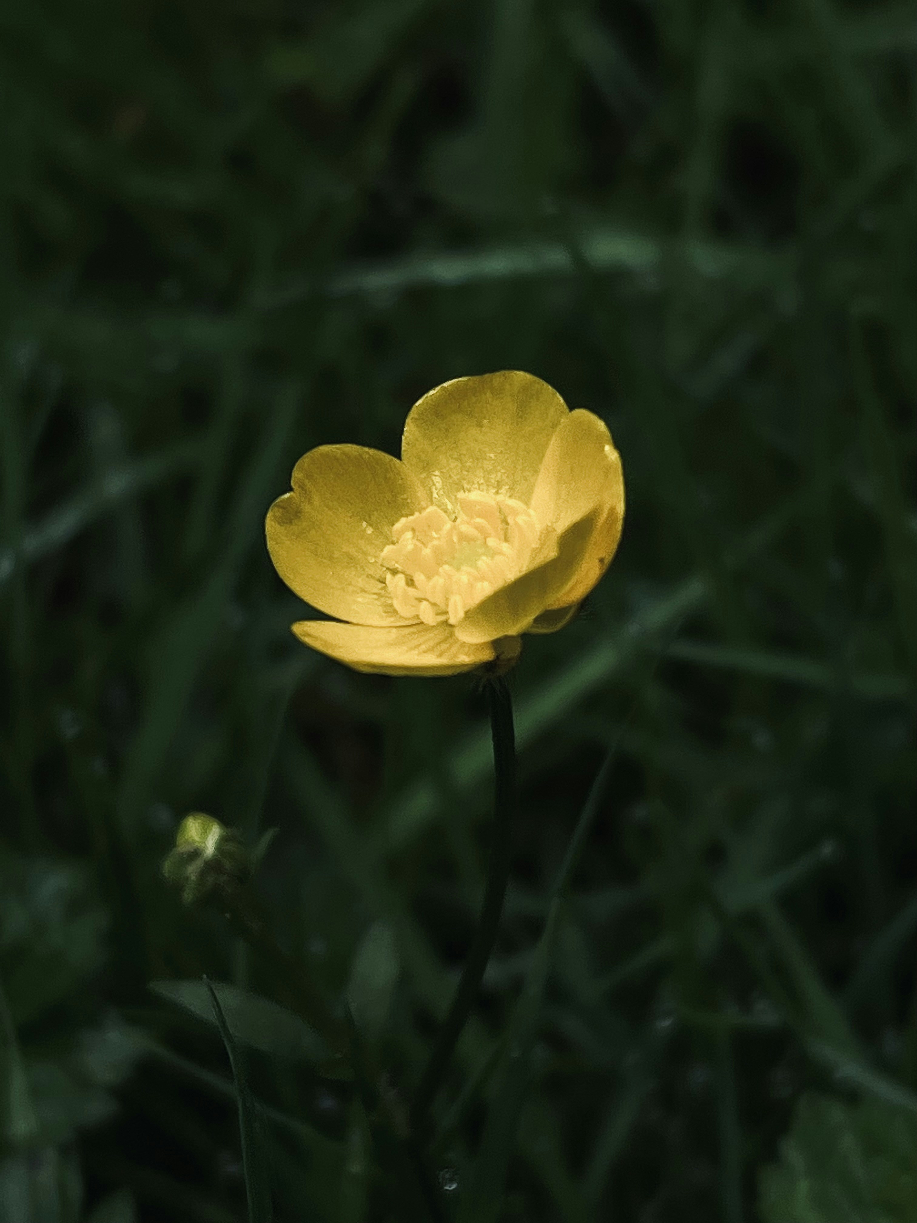 Photo by saheemc