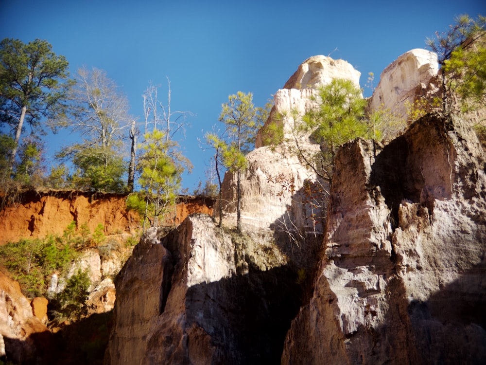 a rocky cliff with trees