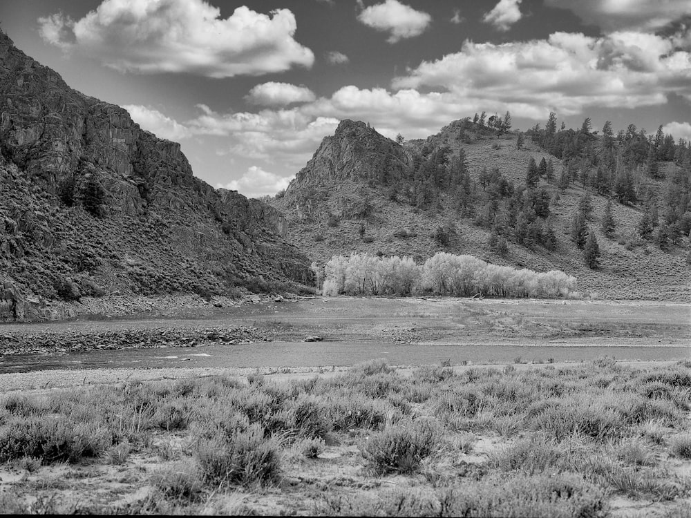 a landscape with mountains and trees