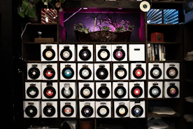 A cozy workspace with colorful vinyl records and cleaning products arranged neatly.