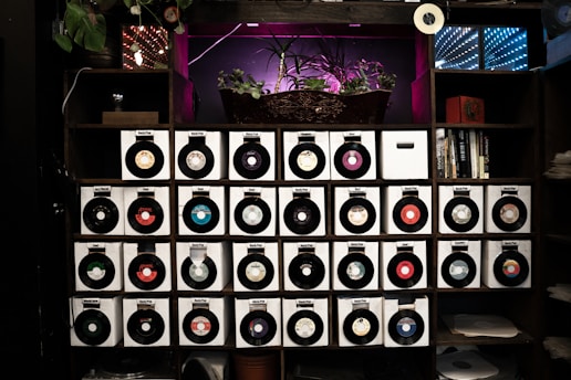 A cozy shop shelf filled with colorful vinyl records in sleeves