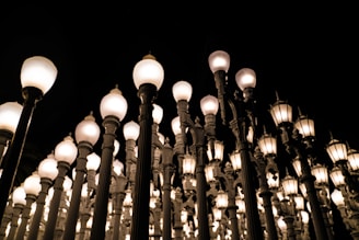A collection of tall, ornate street lamps with glowing spherical lights against a dark night sky. The lamps are closely clustered together, creating a striking architectural pattern.