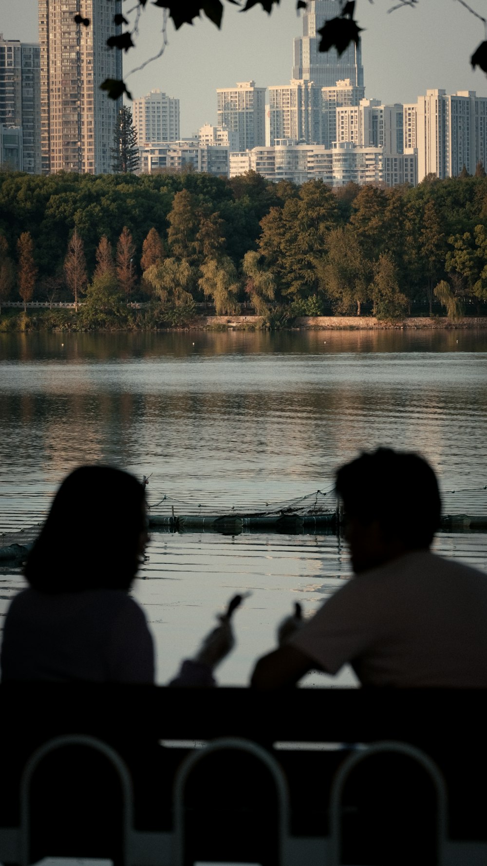people sitting on a bench looking at a lake and trees