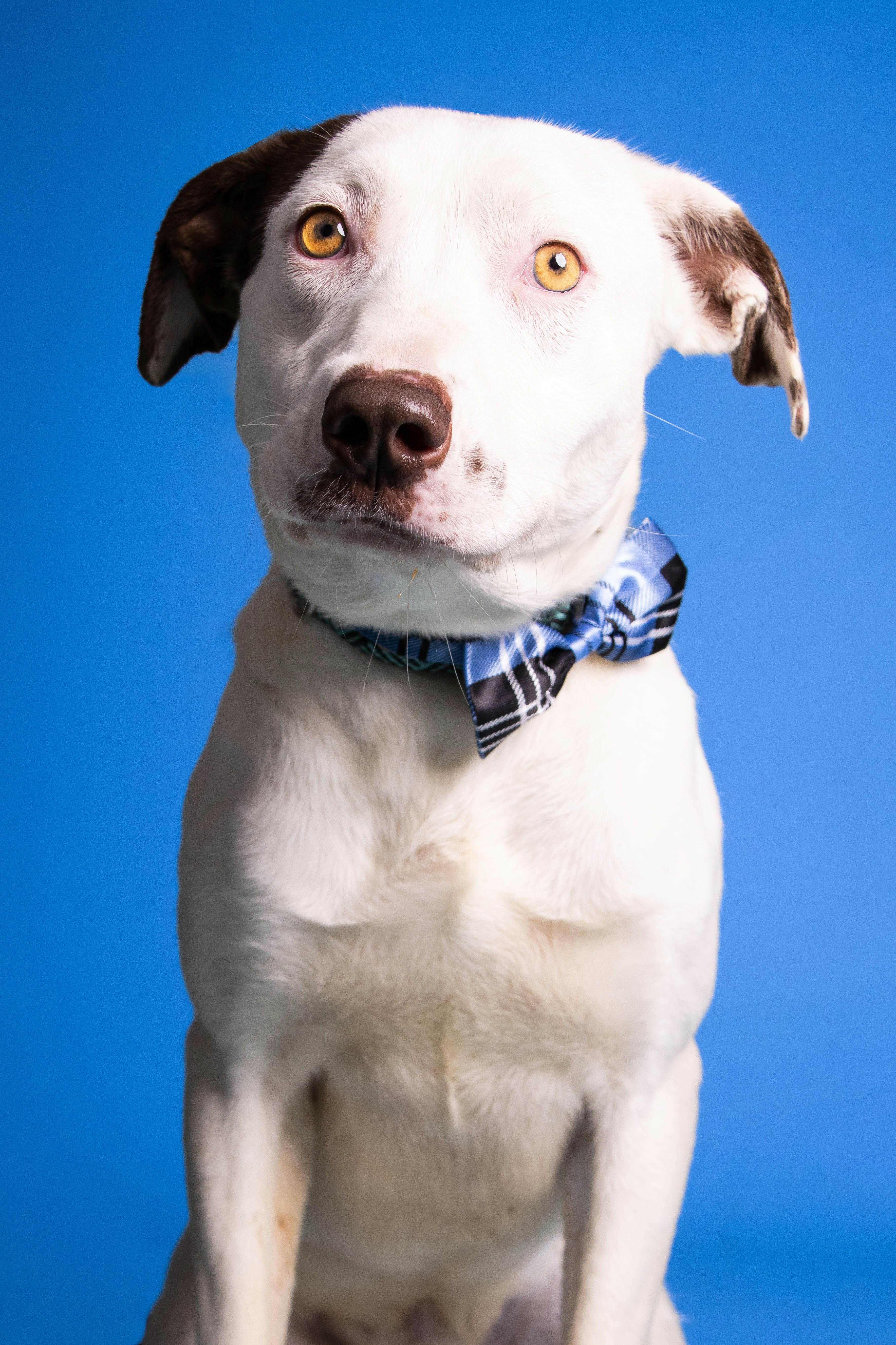 Photo by escape_your_mind