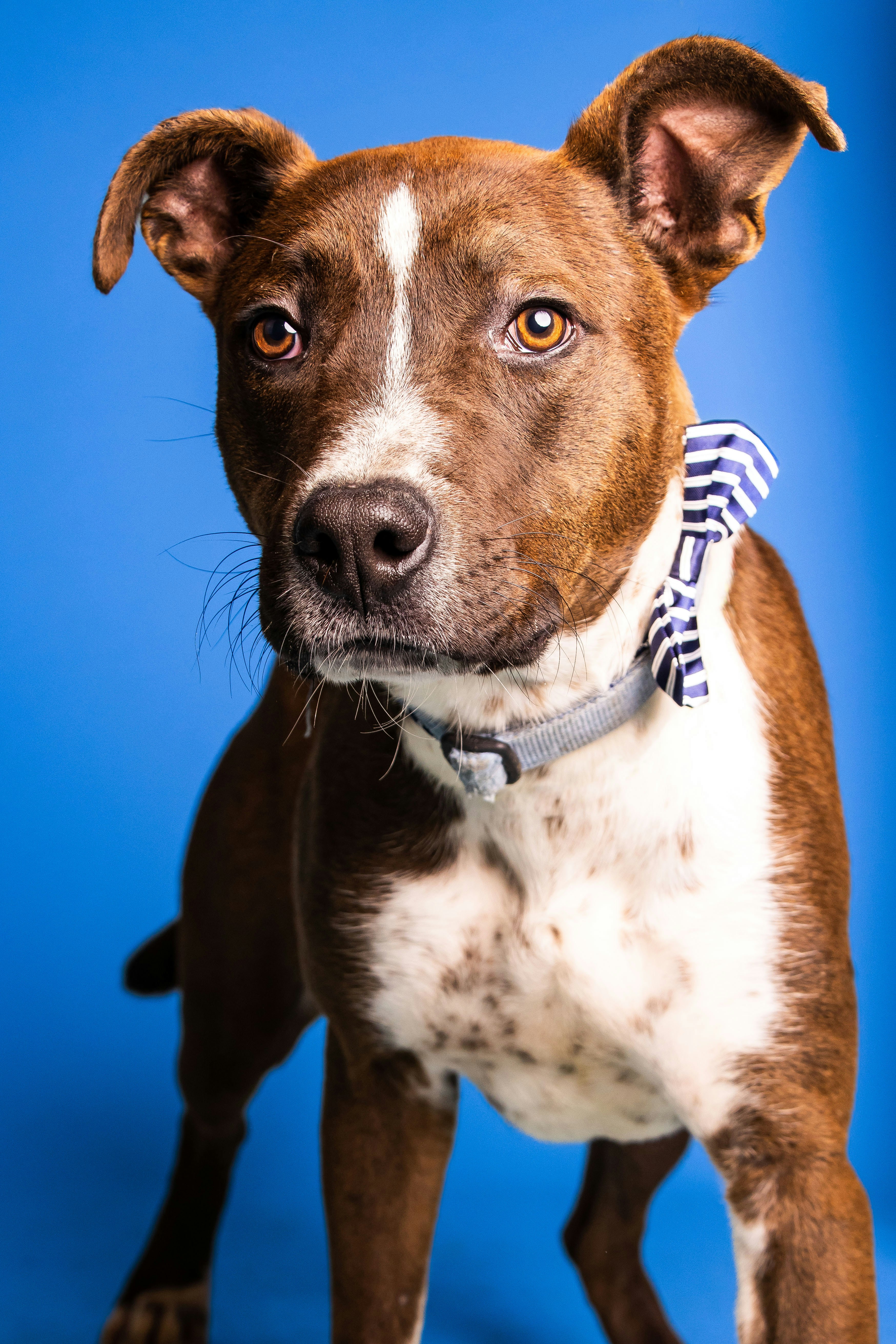 Photo by escape_your_mind