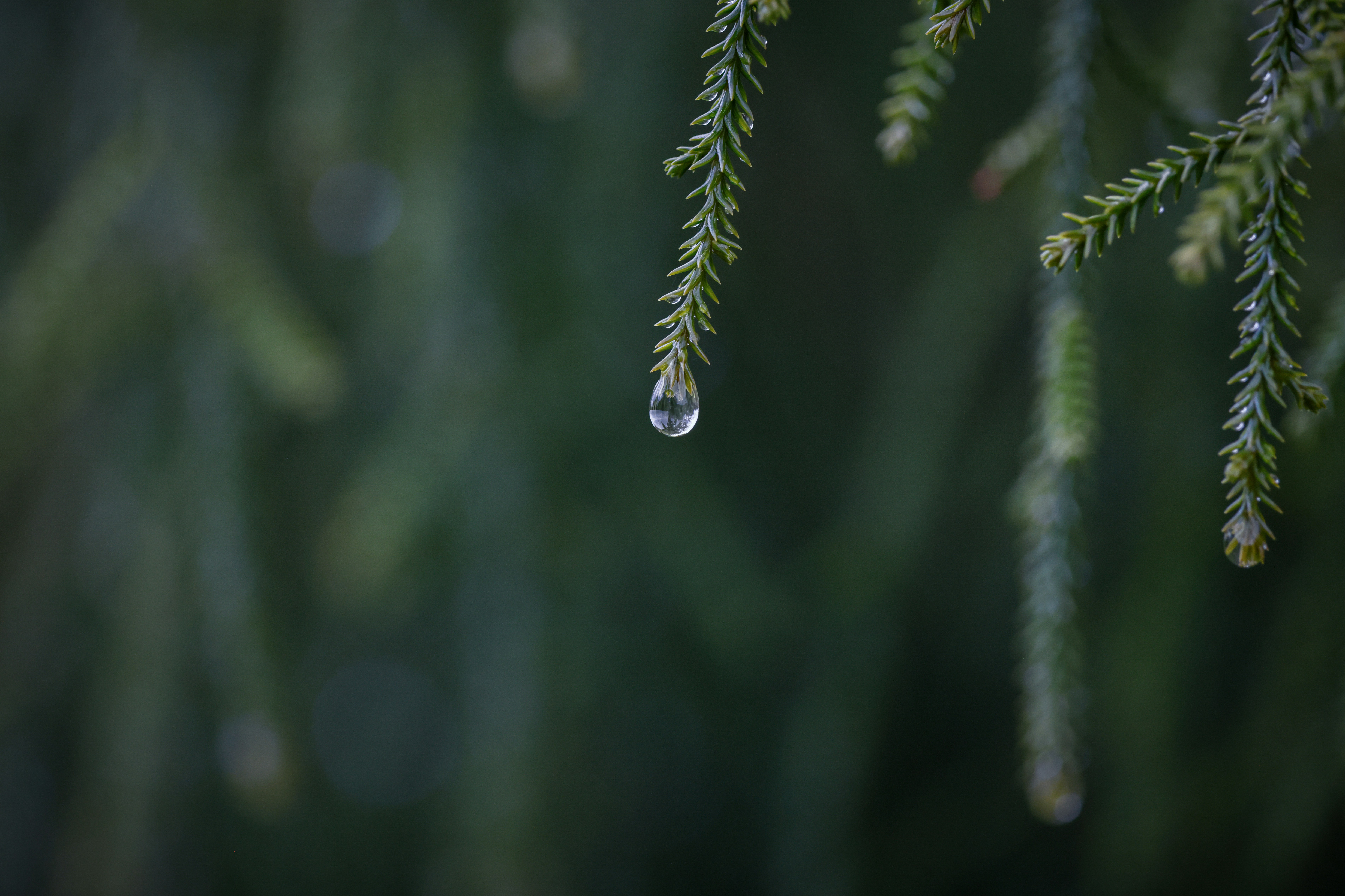 Photo by tonystoddard