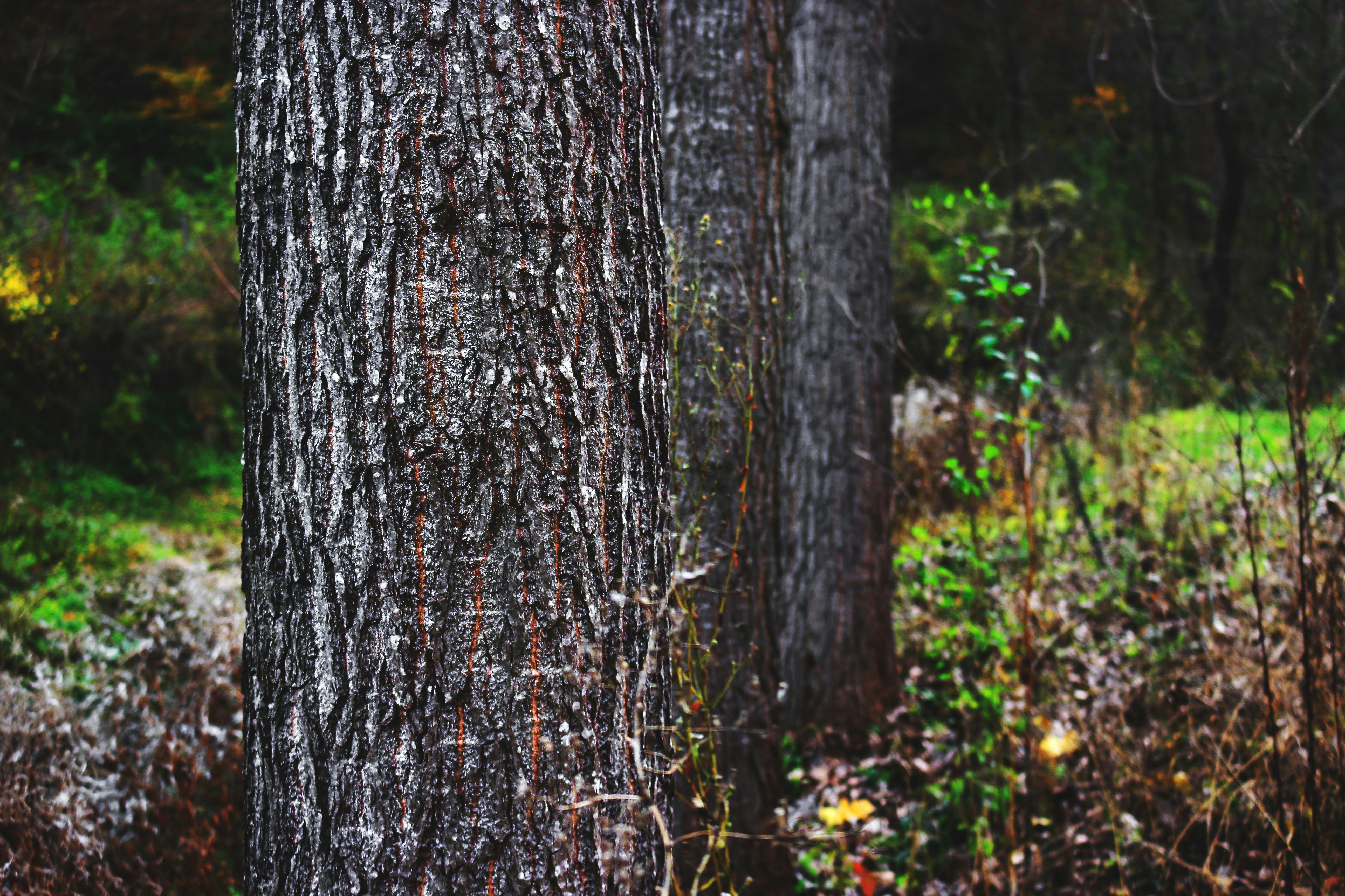 Photo by miloslopusina