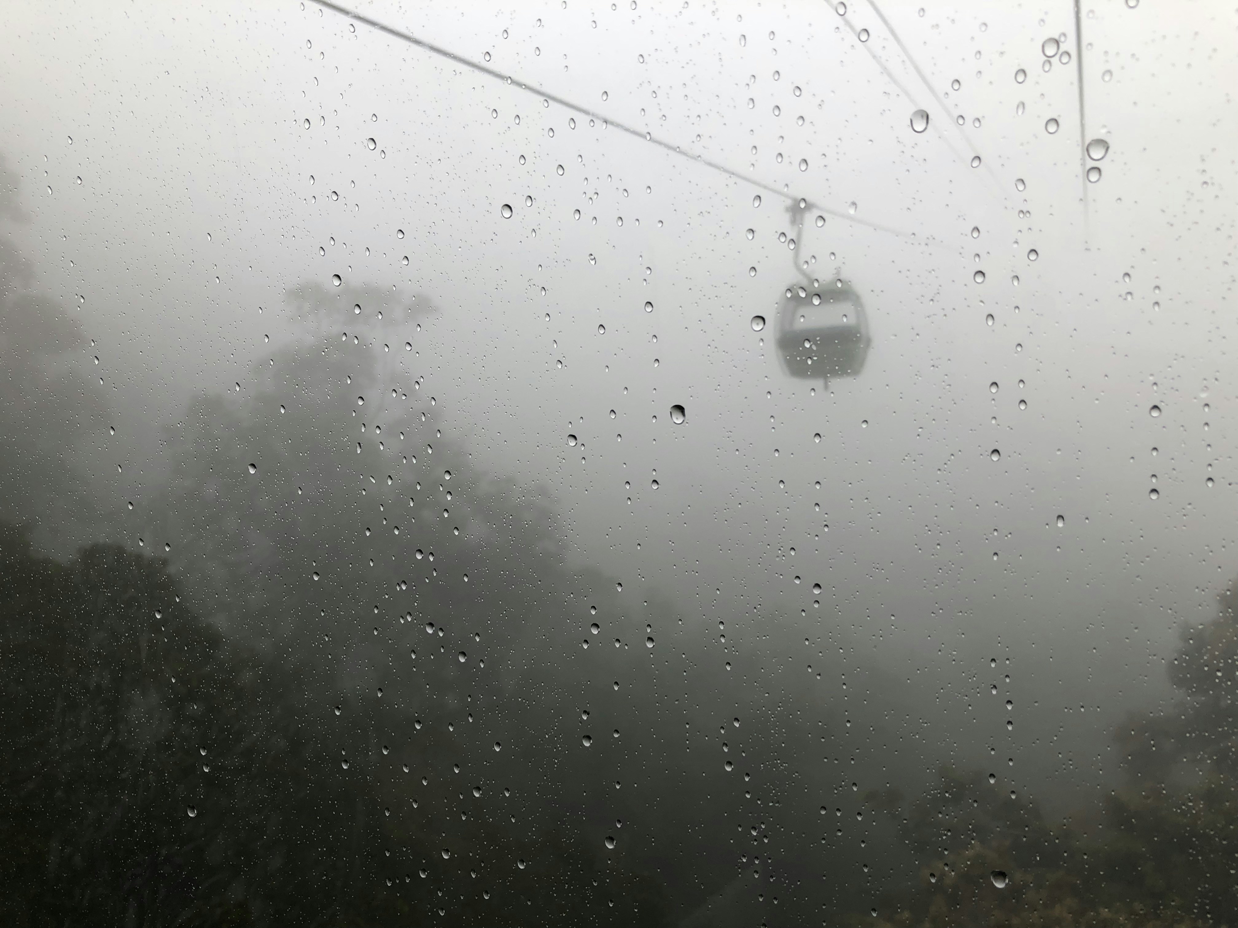 a window with rain drops on it, Had a sunny all day until we were half way down the Skyrail Rainforest Cableway, the clouds rolled in, rain fell, and it created a mystical wonderland in the canopy of the jungle.