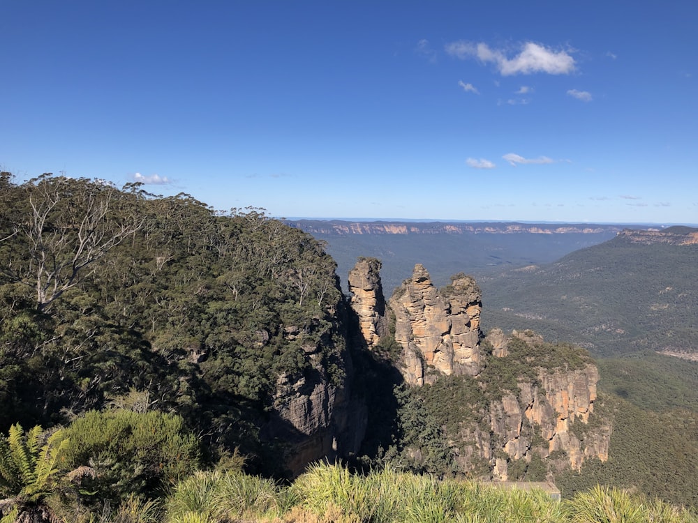 a rocky cliff with trees and a body of water in the distance