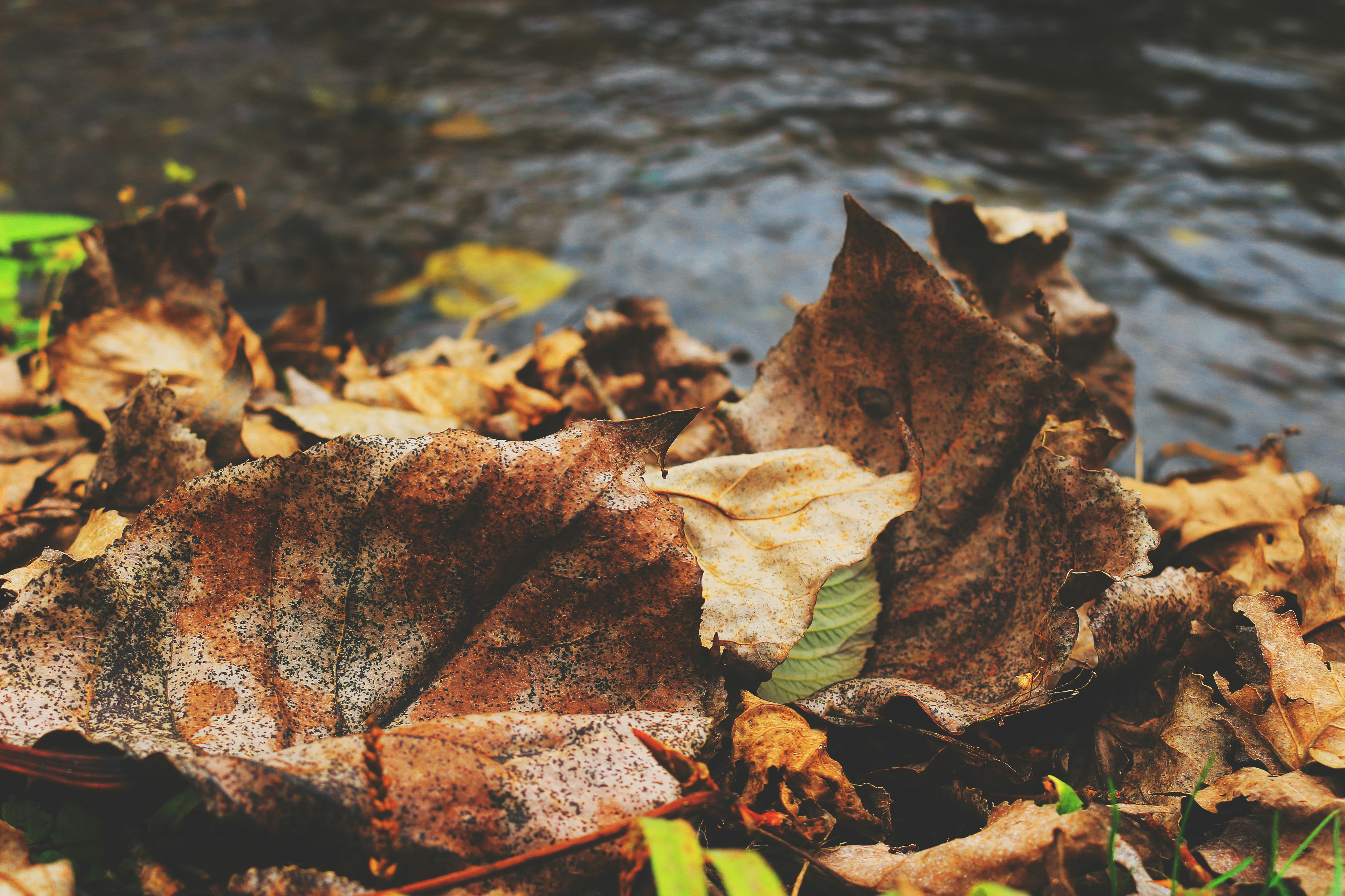 Photo by miloslopusina