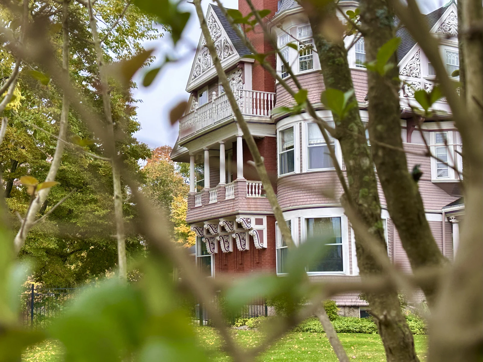 Boston residential building framed by trees
