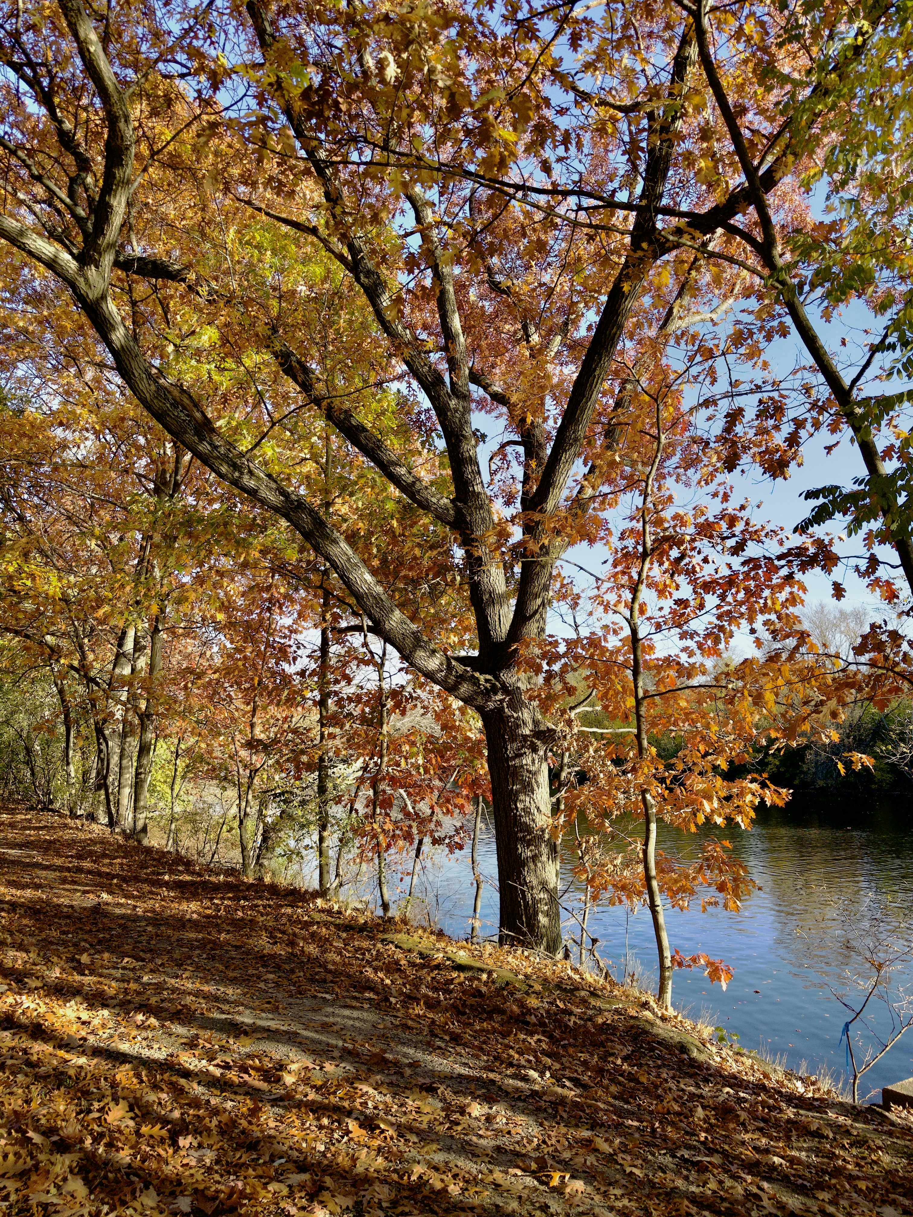 Photo by brettwharton