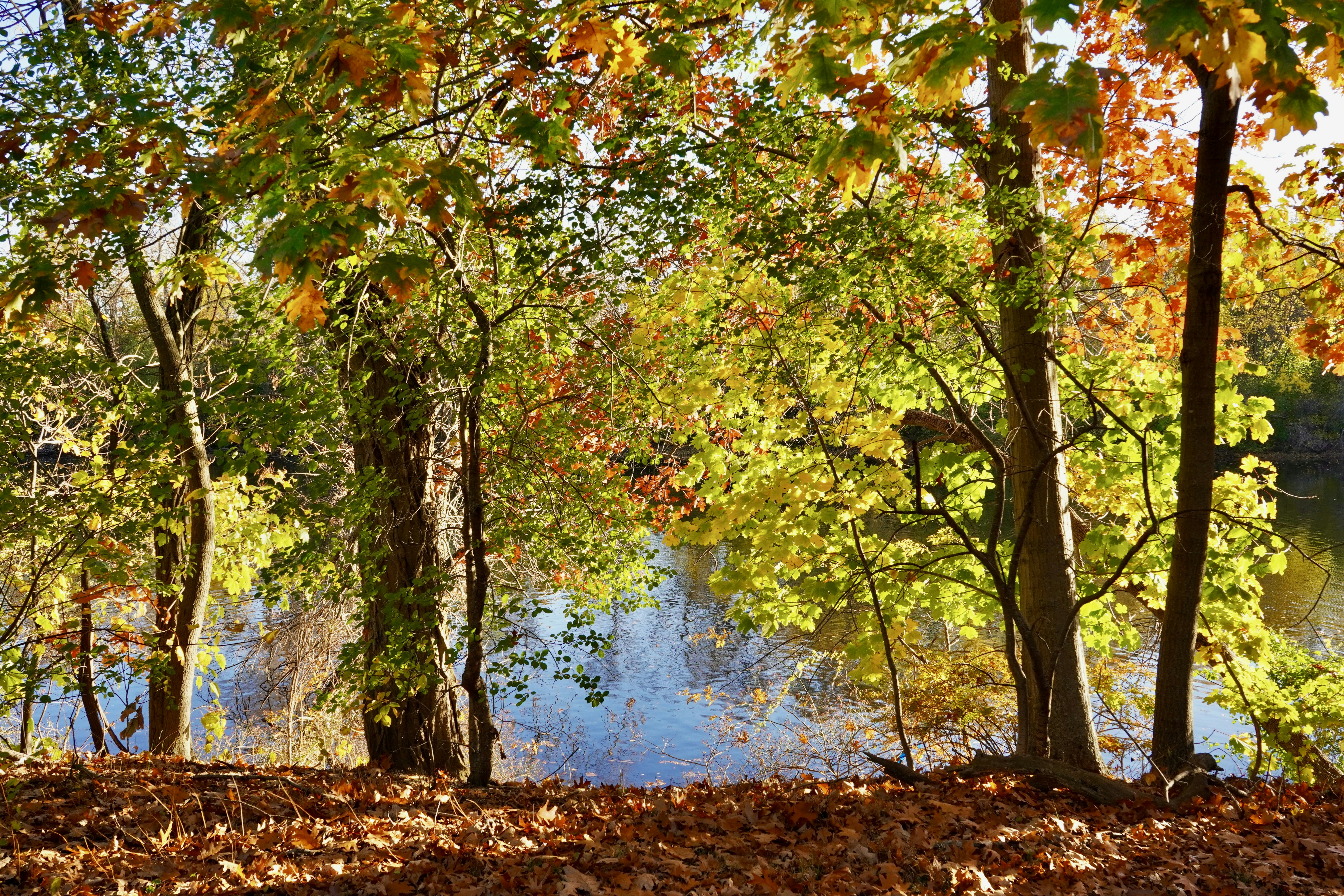 ART destination photo