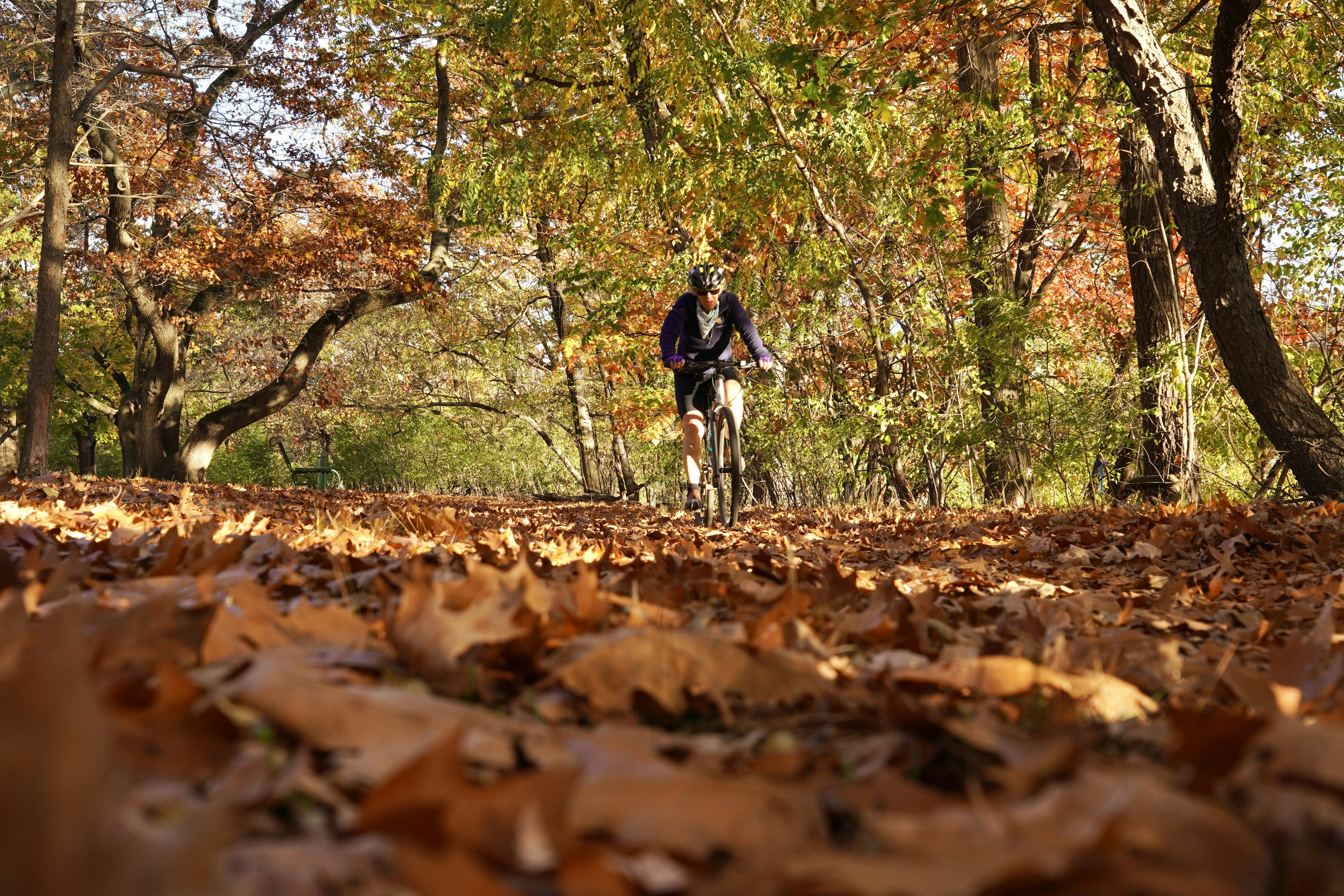 Person riding bike on forest trail