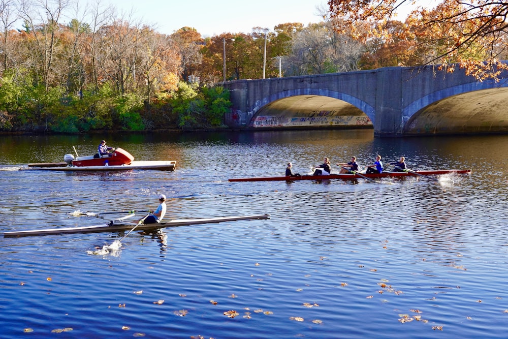 a group of people rowing a boat