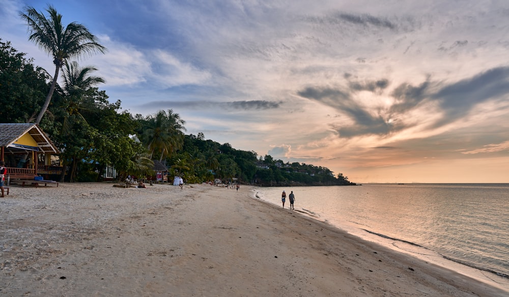 people walking on a beach