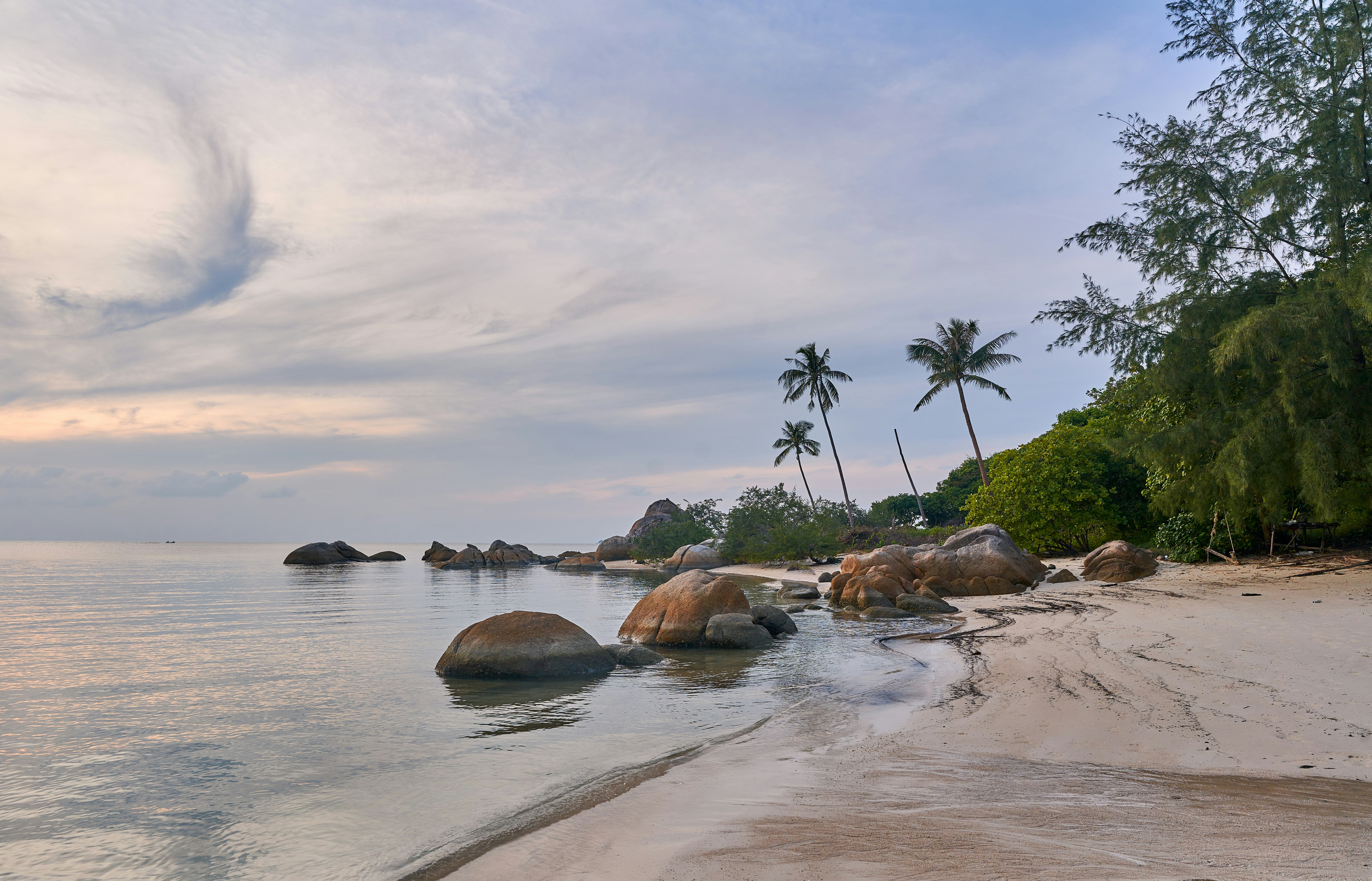 a beach with rocks and trees, 