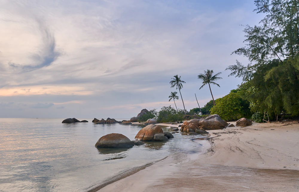 Rocks and trees along the shore on Koh Phangan