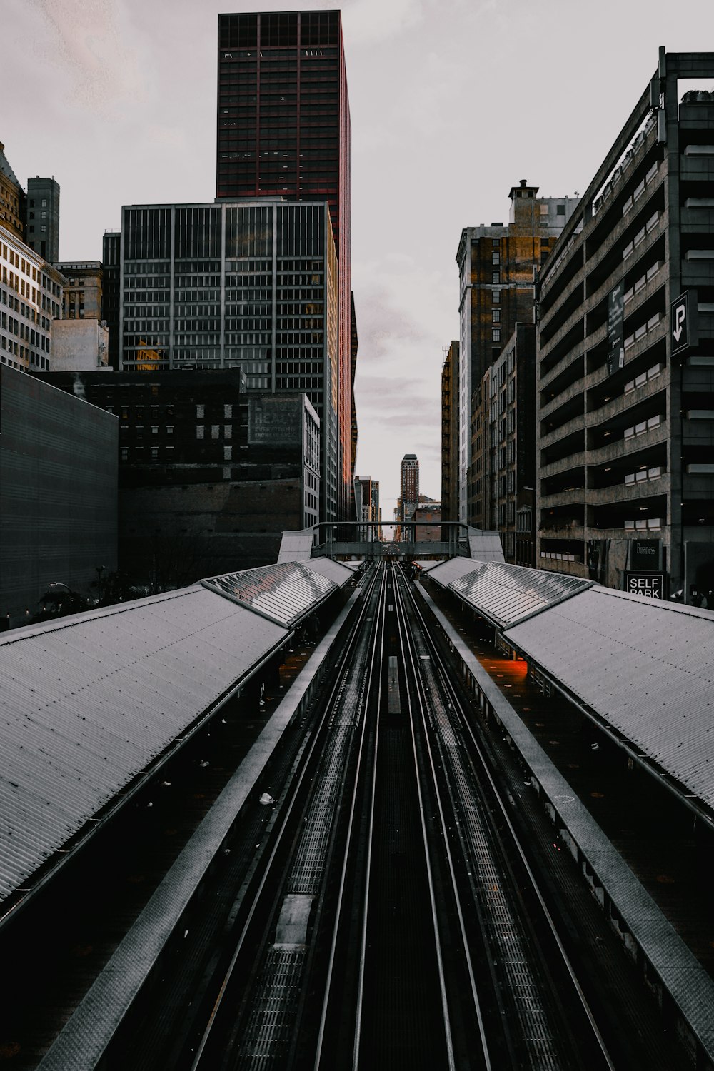 a train on the railway tracks