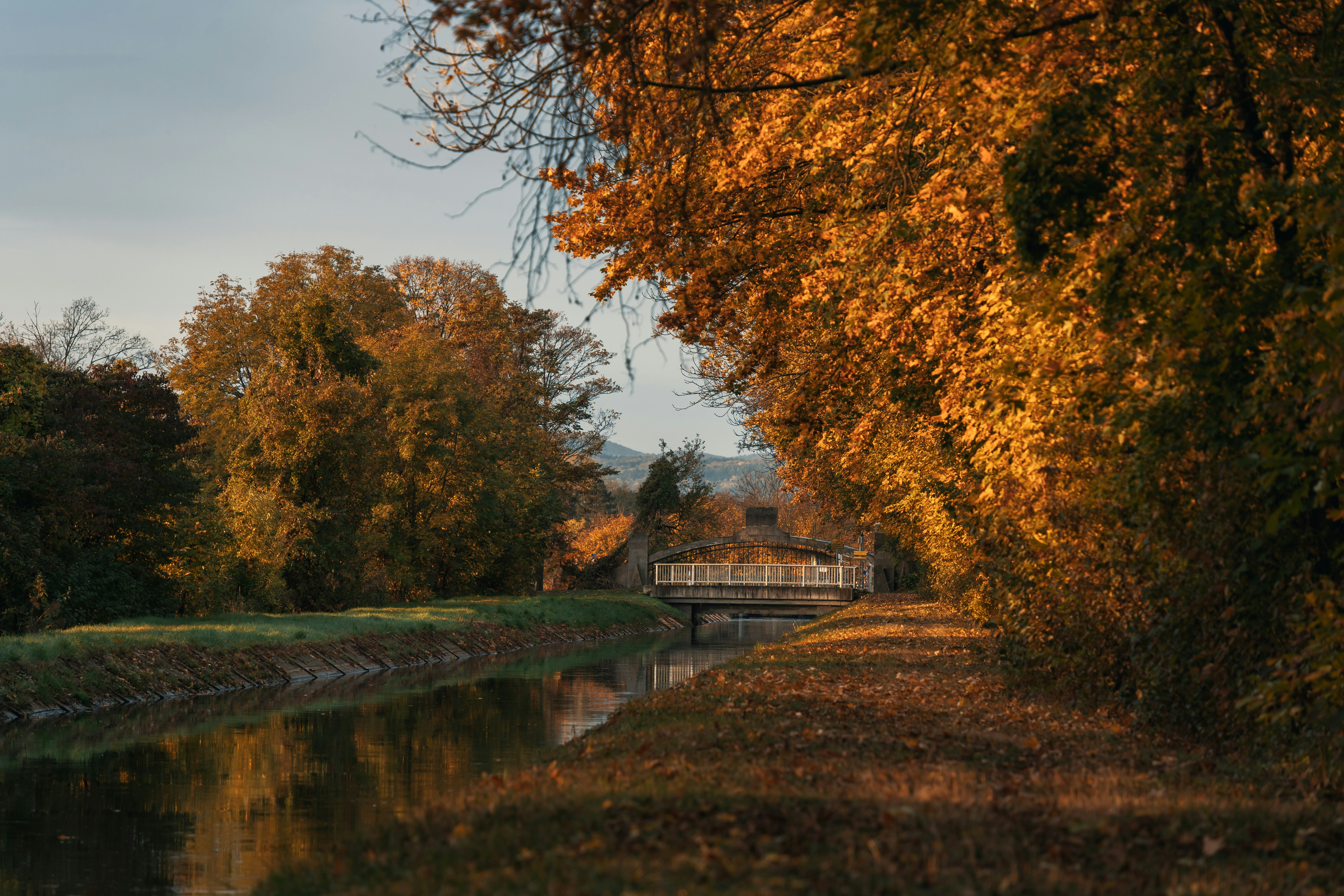 Photo by pino_rumbero