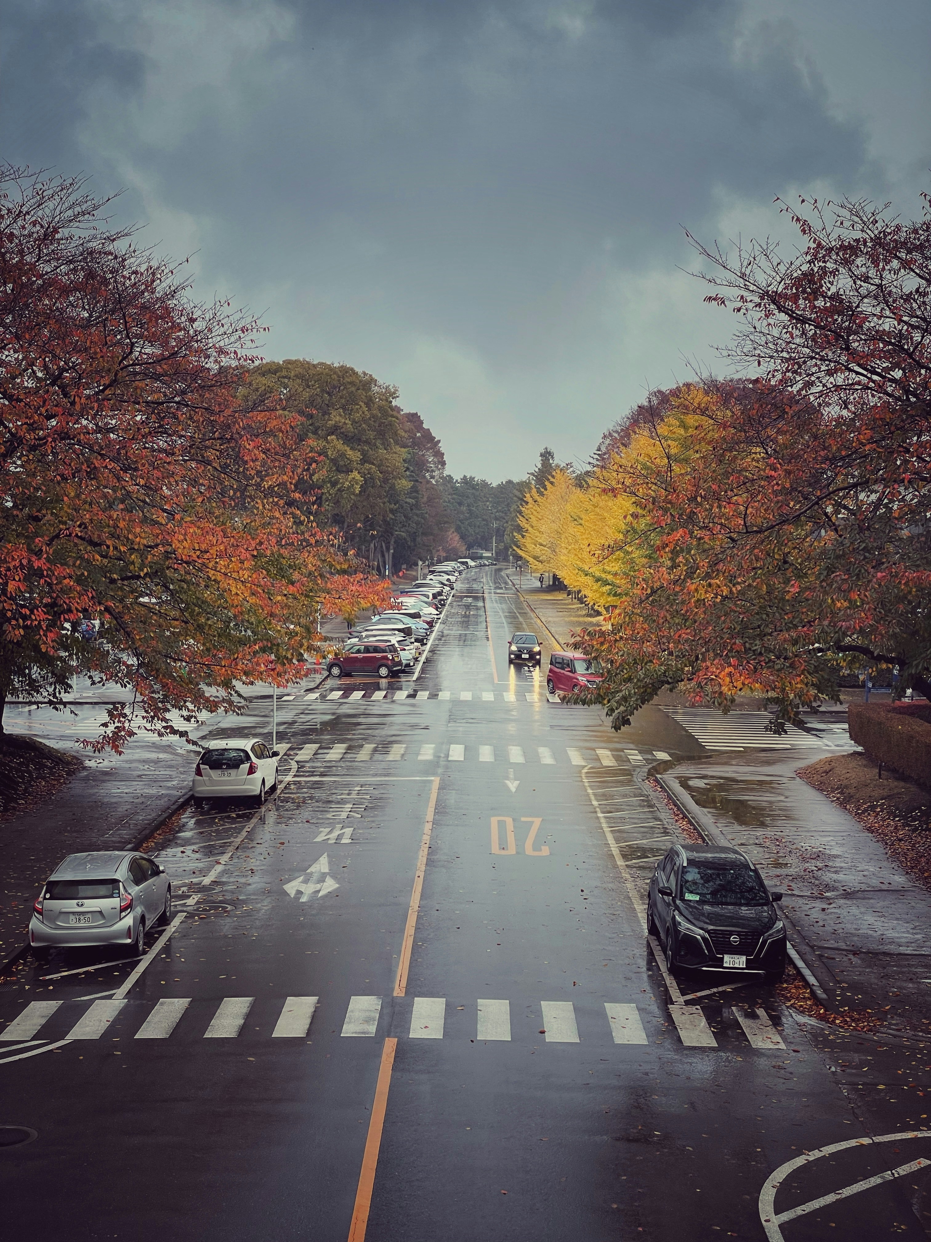 A road with cars on it and trees on the side photo – Free Симоцукэ ...