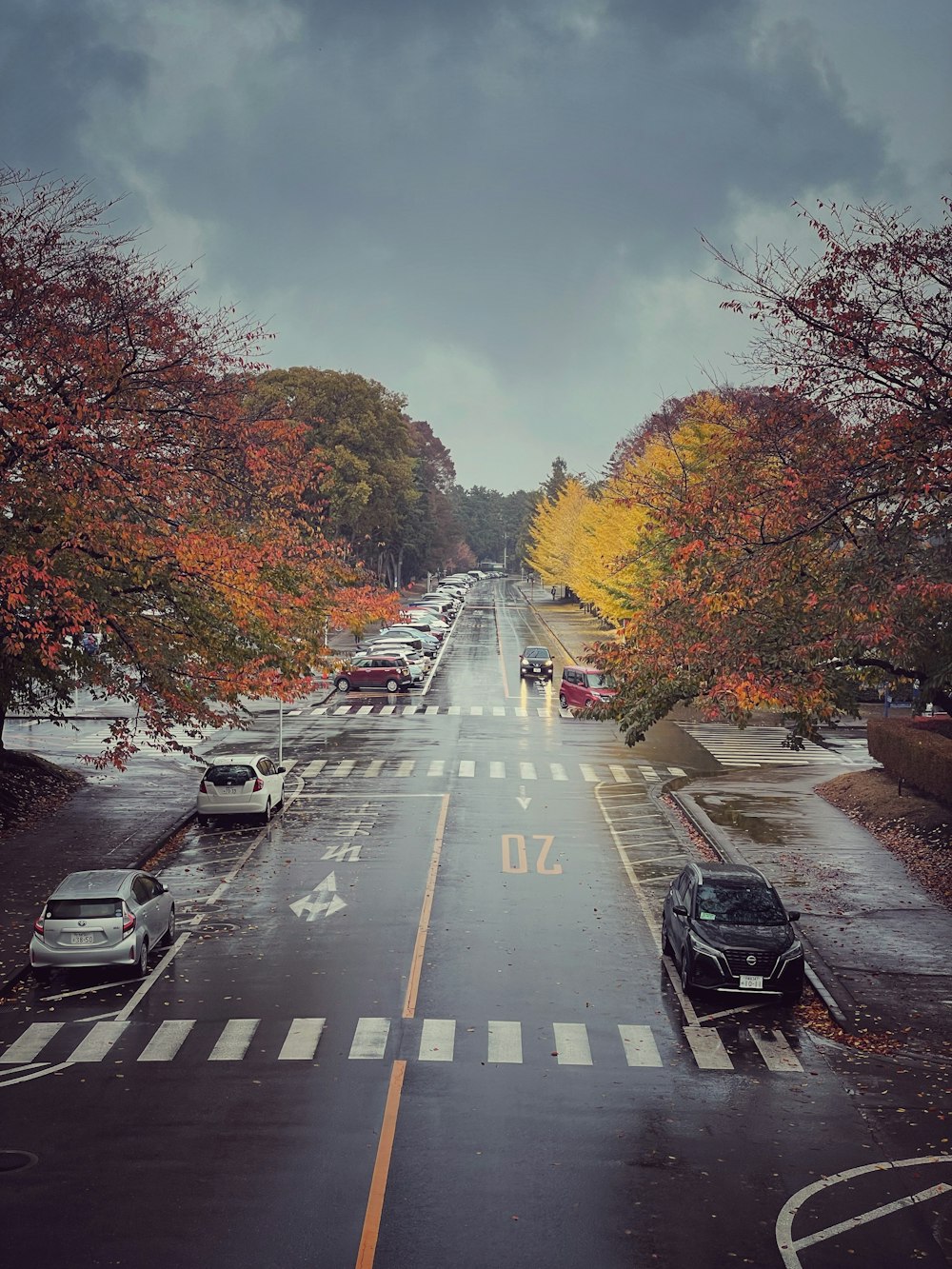 a road with cars on it and trees on the side