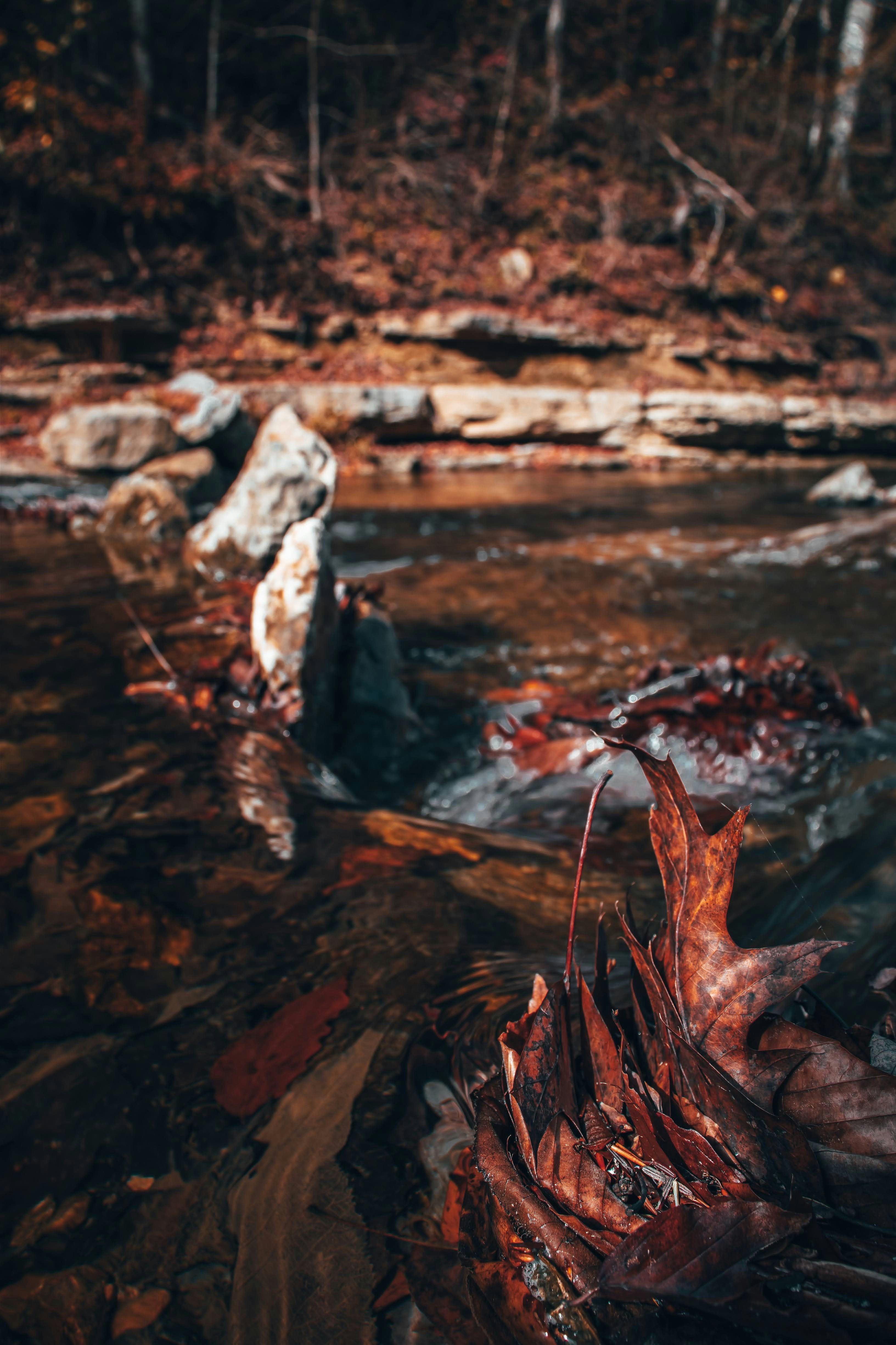 Photo by brice_cooper18