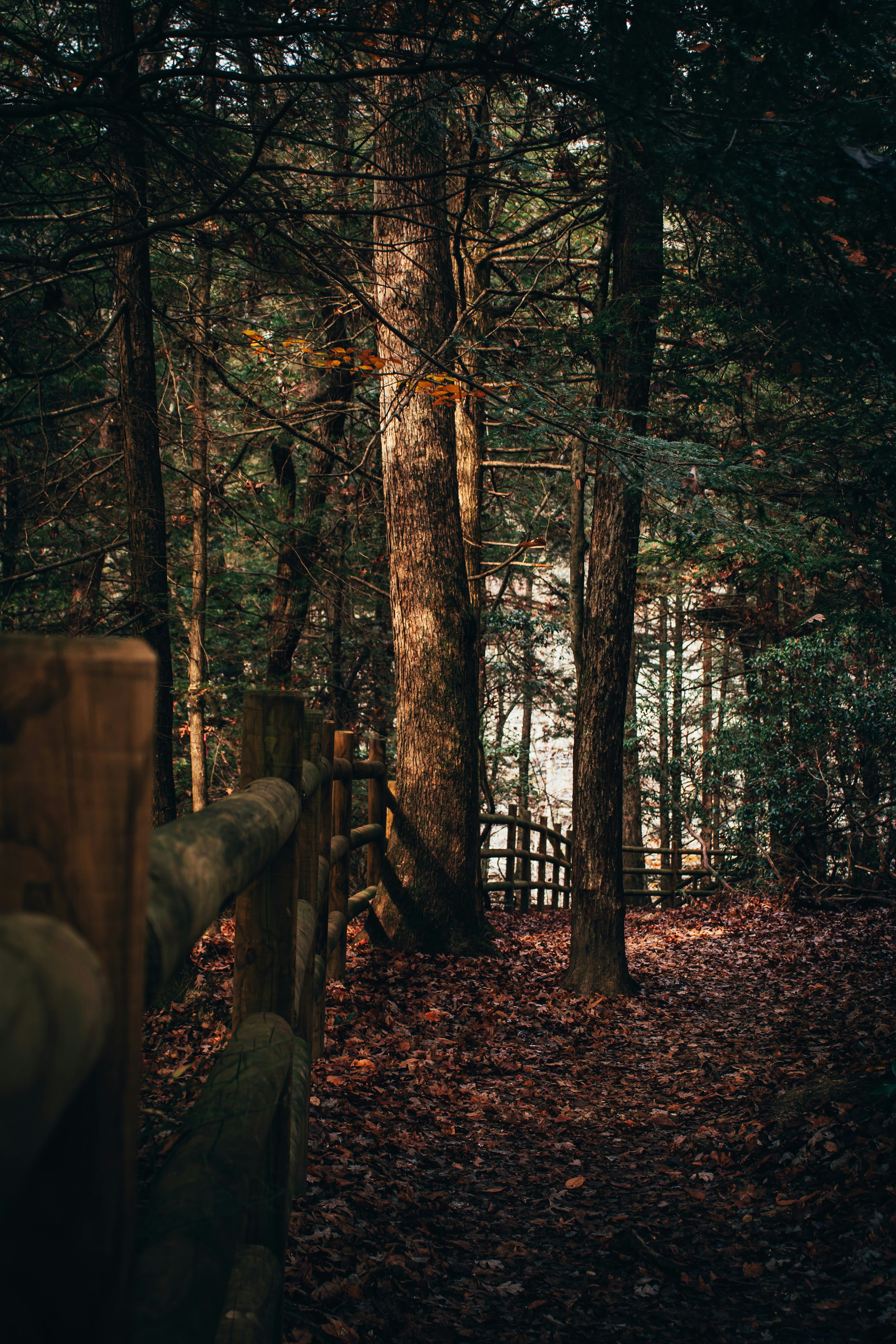 Photo by brice_cooper18