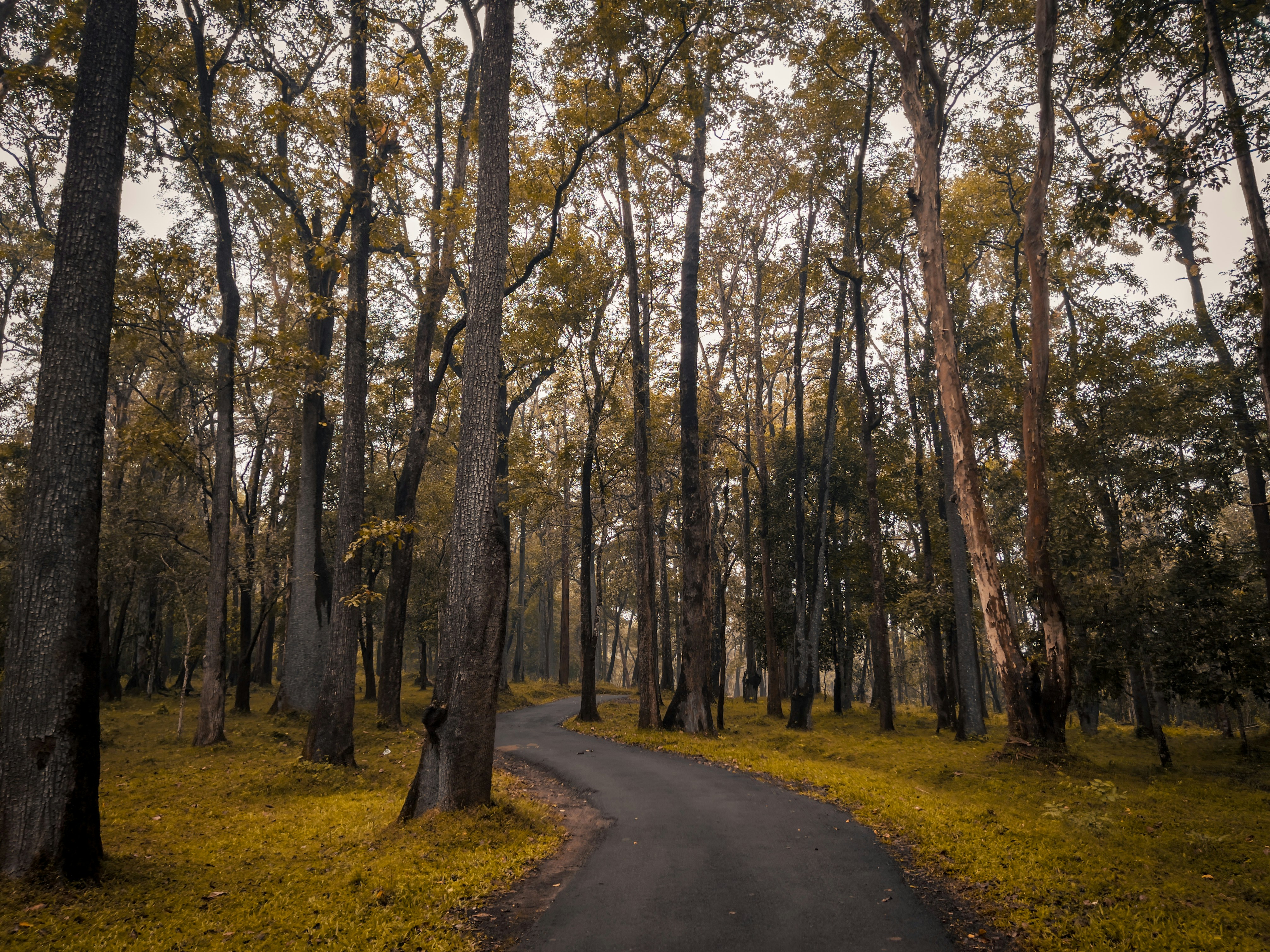 Photo by robinsonsam