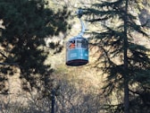 a cable car going through the woods
