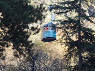 a cable car going through the woods