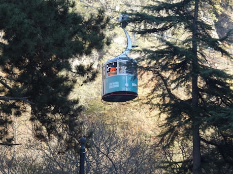 a cable car going through the woods