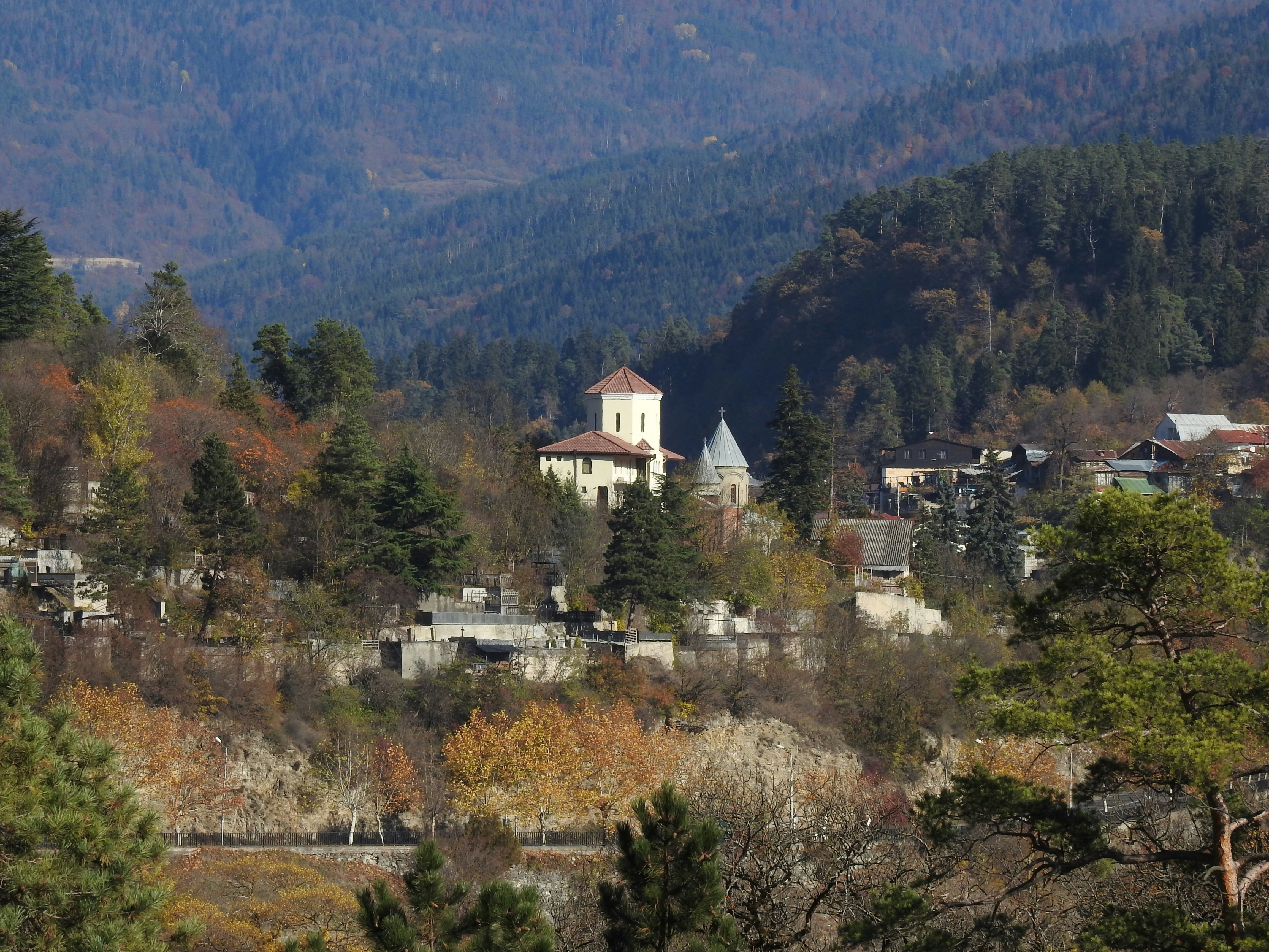 a group of buildings in a wooded area