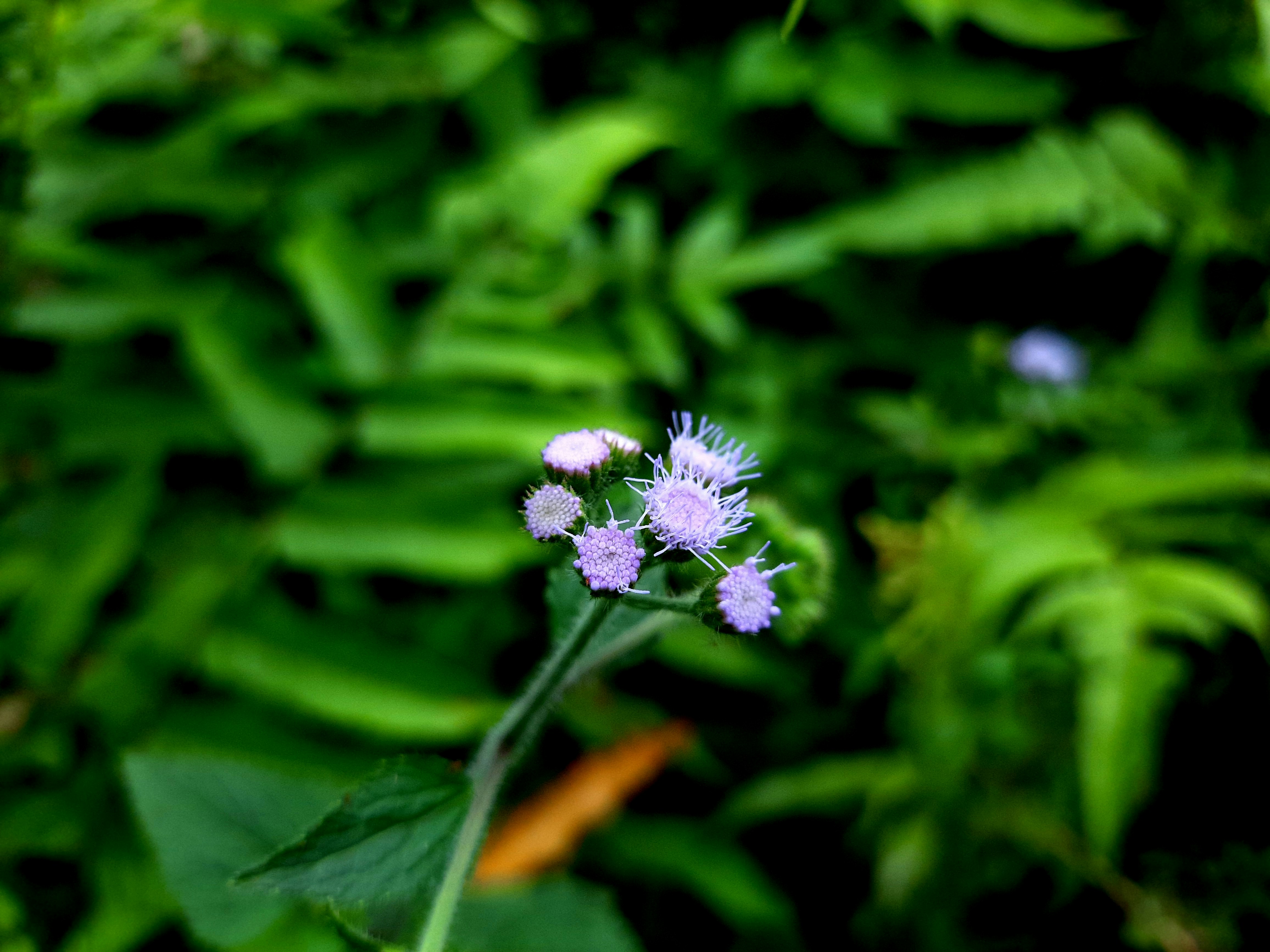 Photo by shutters_flutter