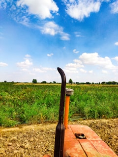 A vast agricultural field stretches under a bright blue sky filled with scattered white clouds. In the foreground, the top of a tractor is visible, surrounded by green crops and dry soil.