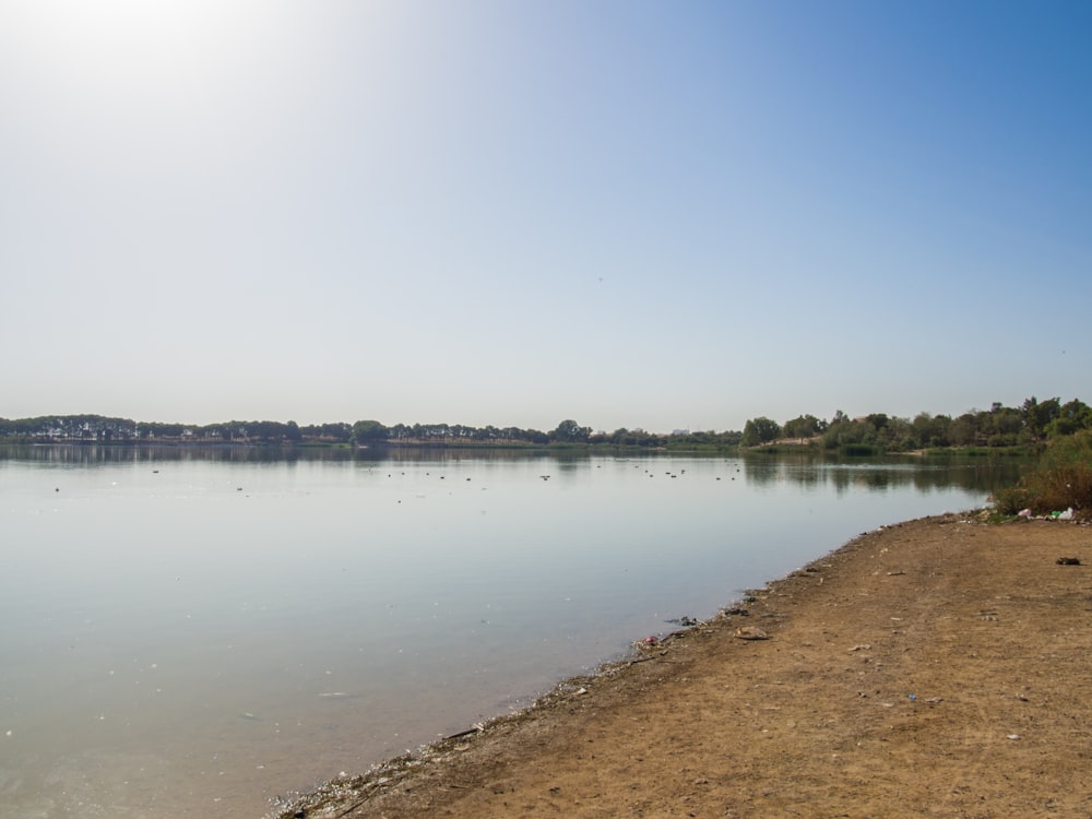a body of water with a sandy beach and trees in the background