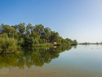 A serene lake with clear water reflecting the blue sky and surrounding trees.