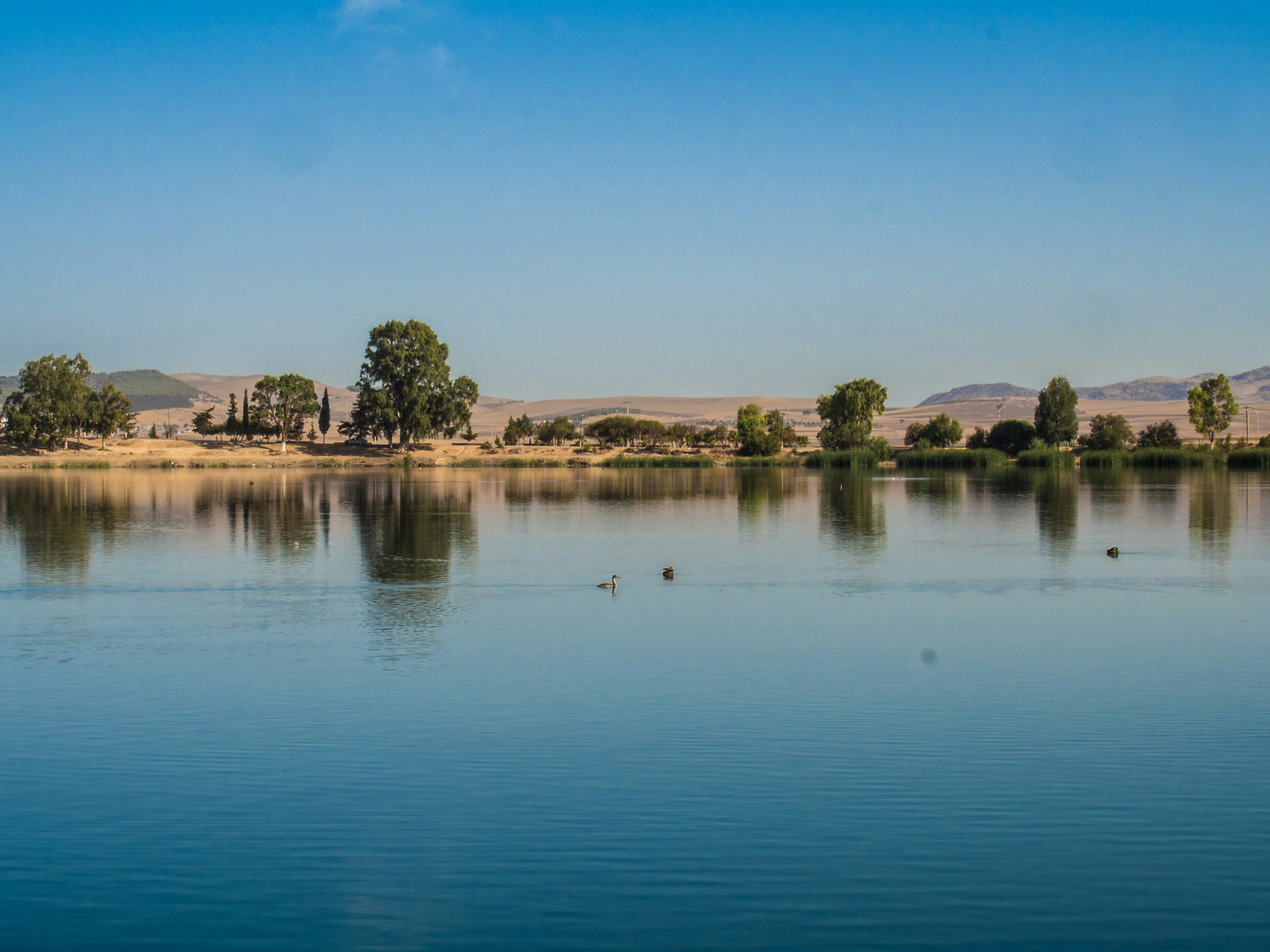 a body of water with trees and buildings in the background, Sidi Mohamed Ben Ali lake located in western Algeria in the state of Sidi Bel Abbes, specifically on the lands of the municipality of Ain Al Tharid.