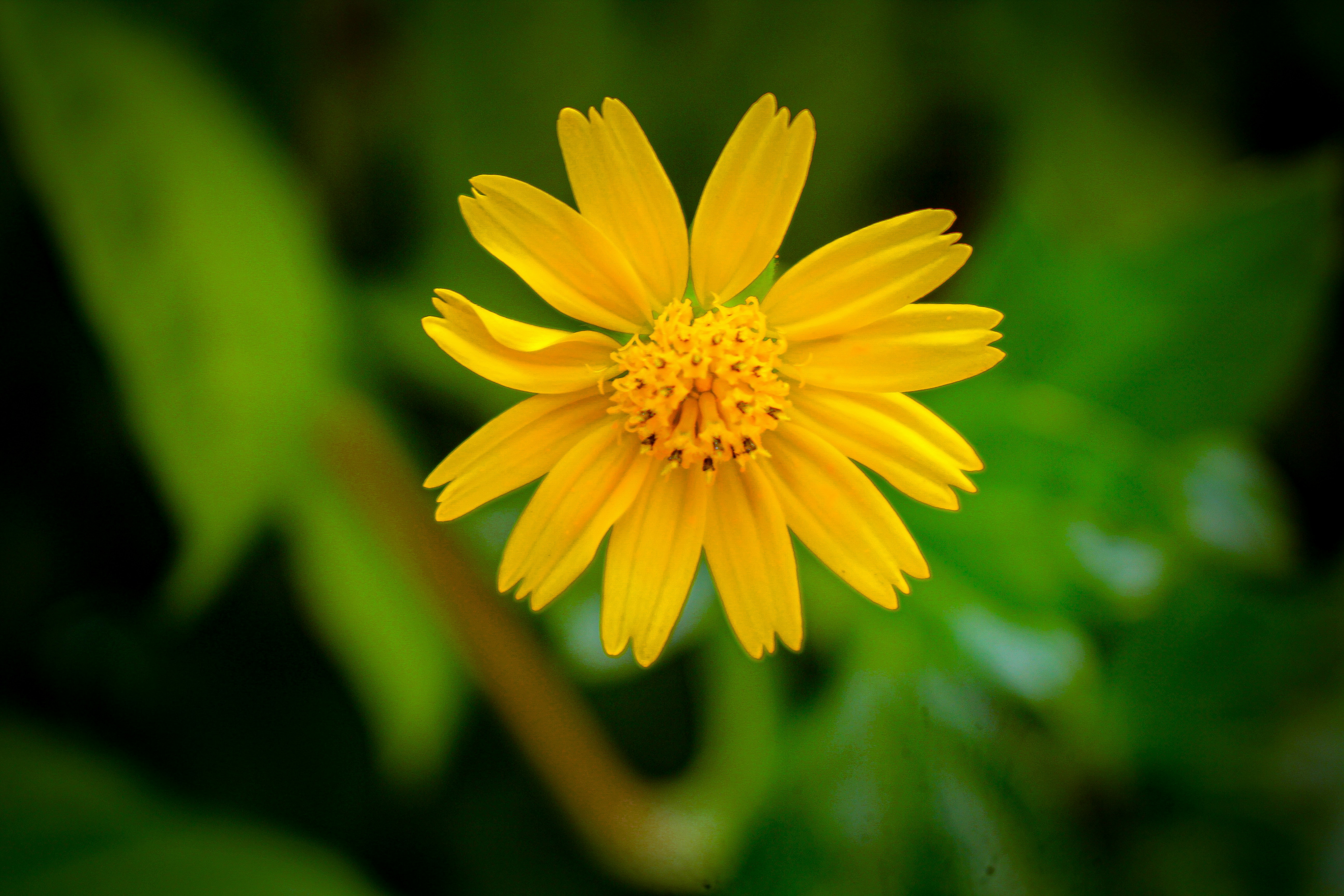 Photo by mubinurrahmanmrp