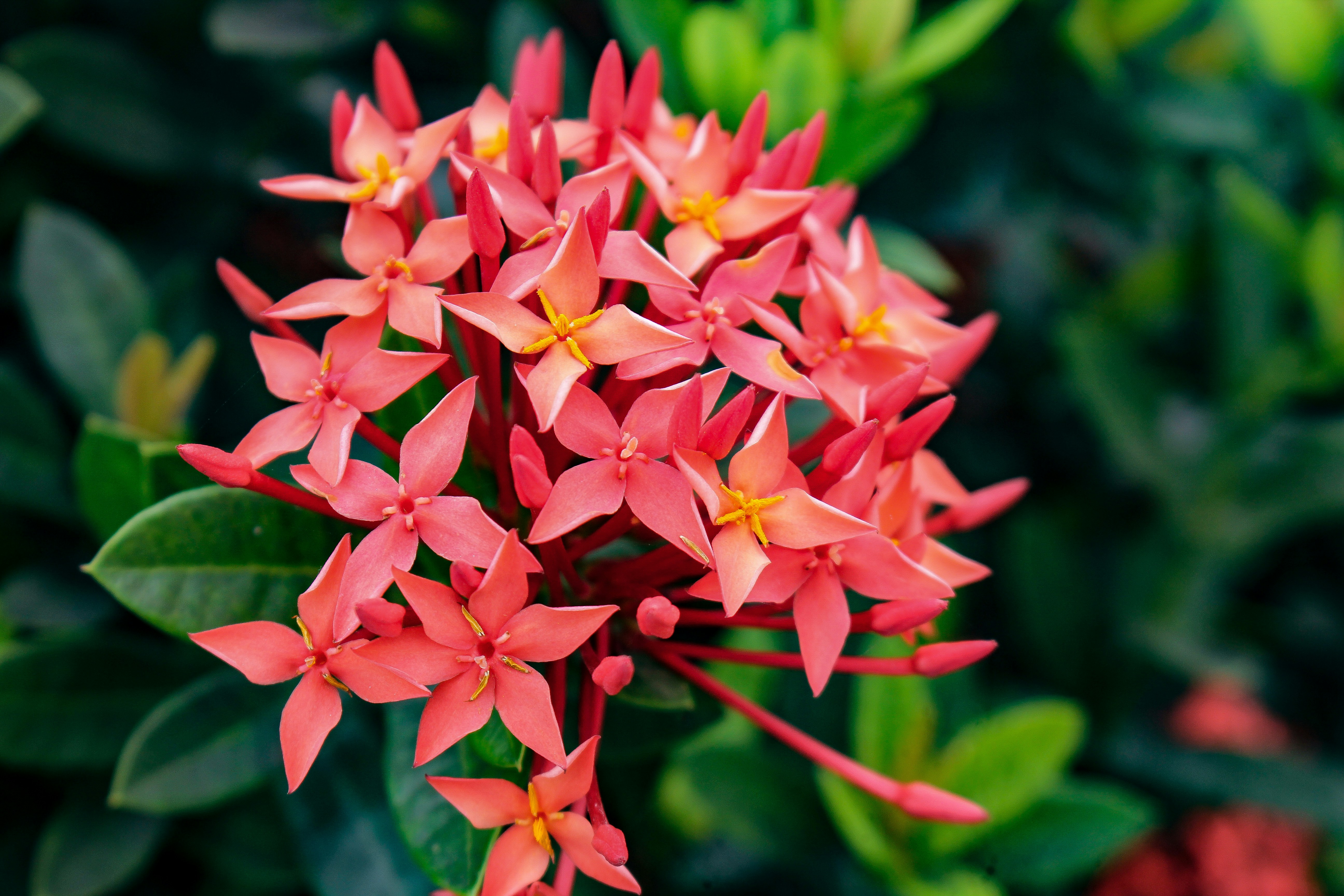 Photo by mubinurrahmanmrp