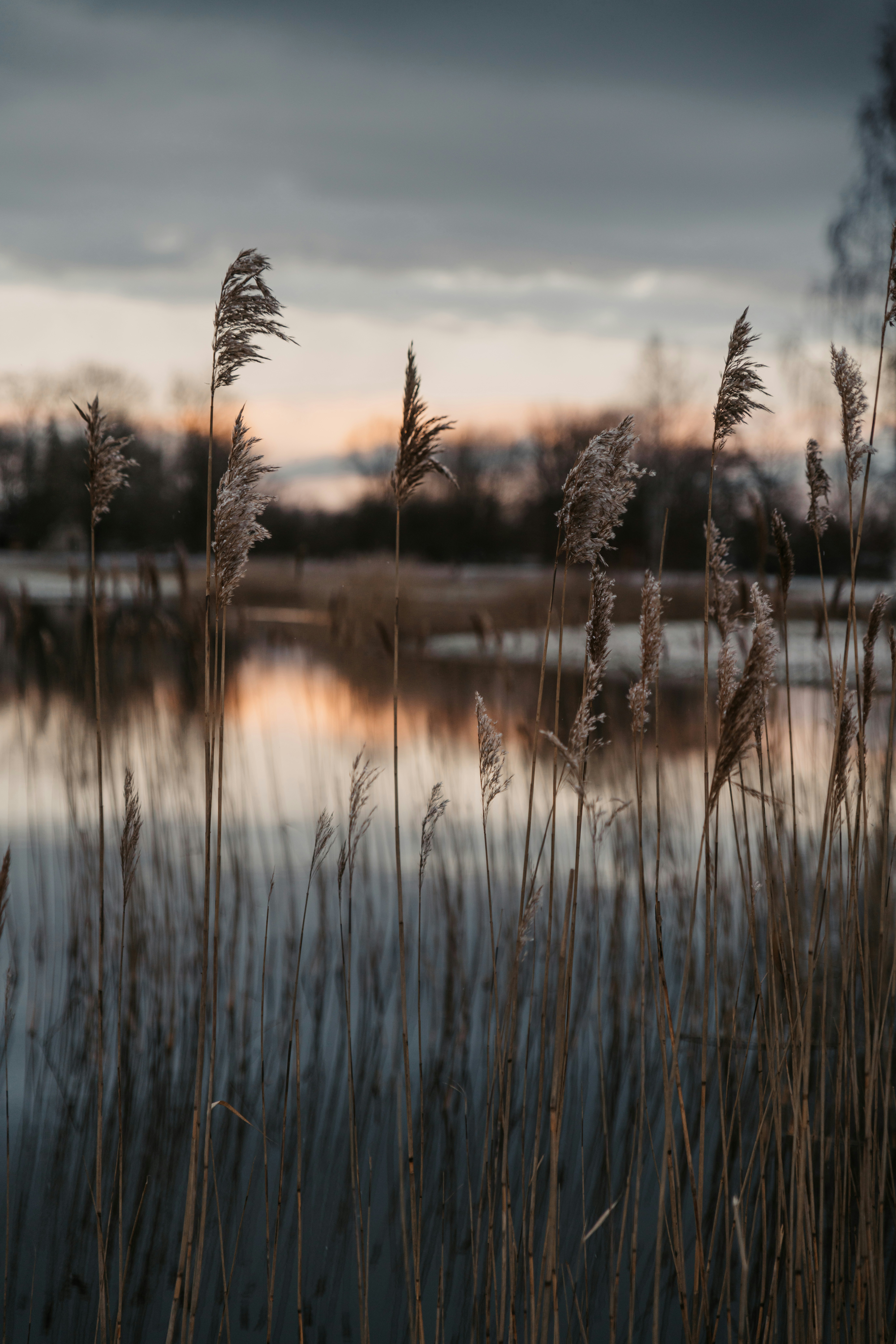 Photo by anitaaustvika