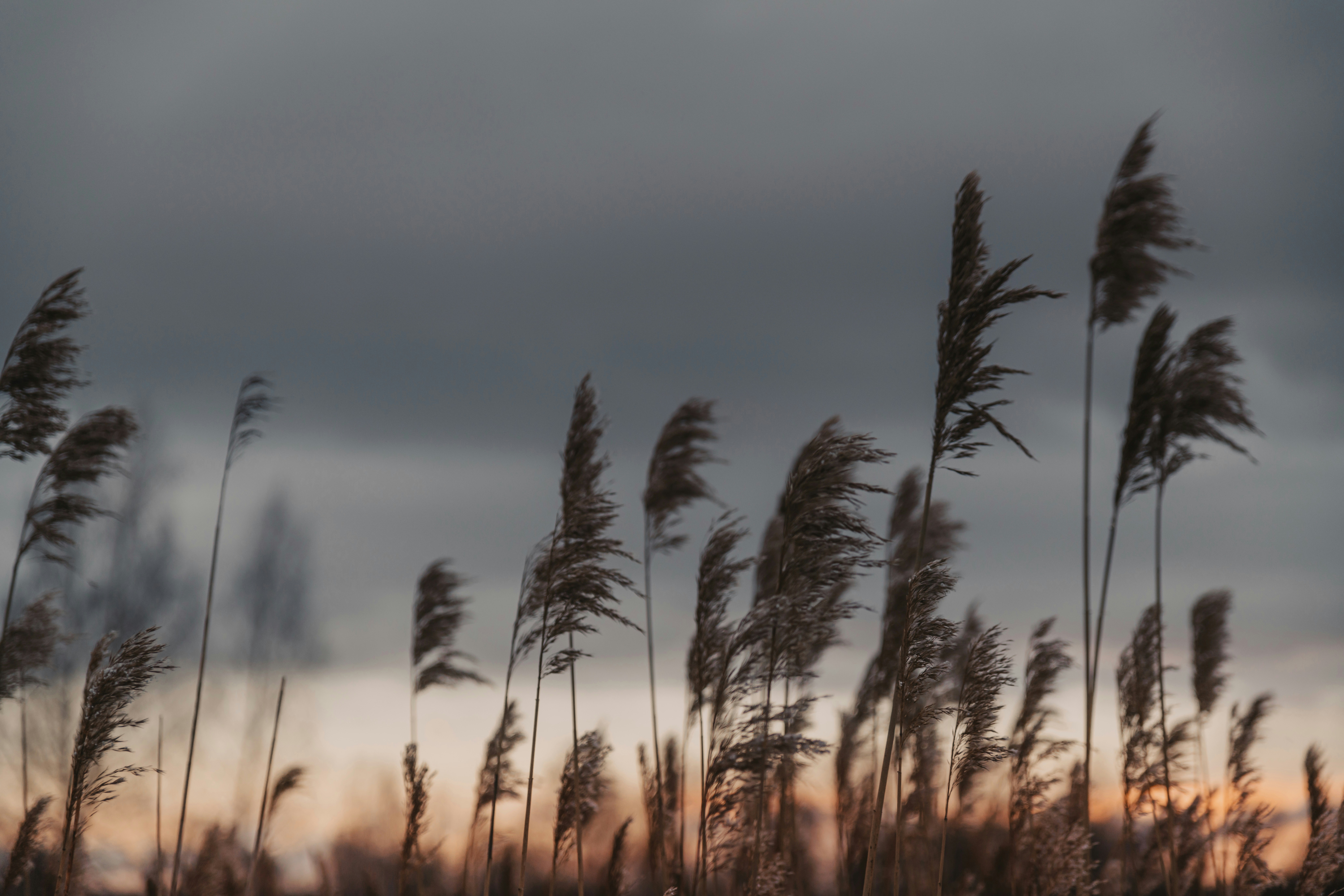 Photo by anitaaustvika