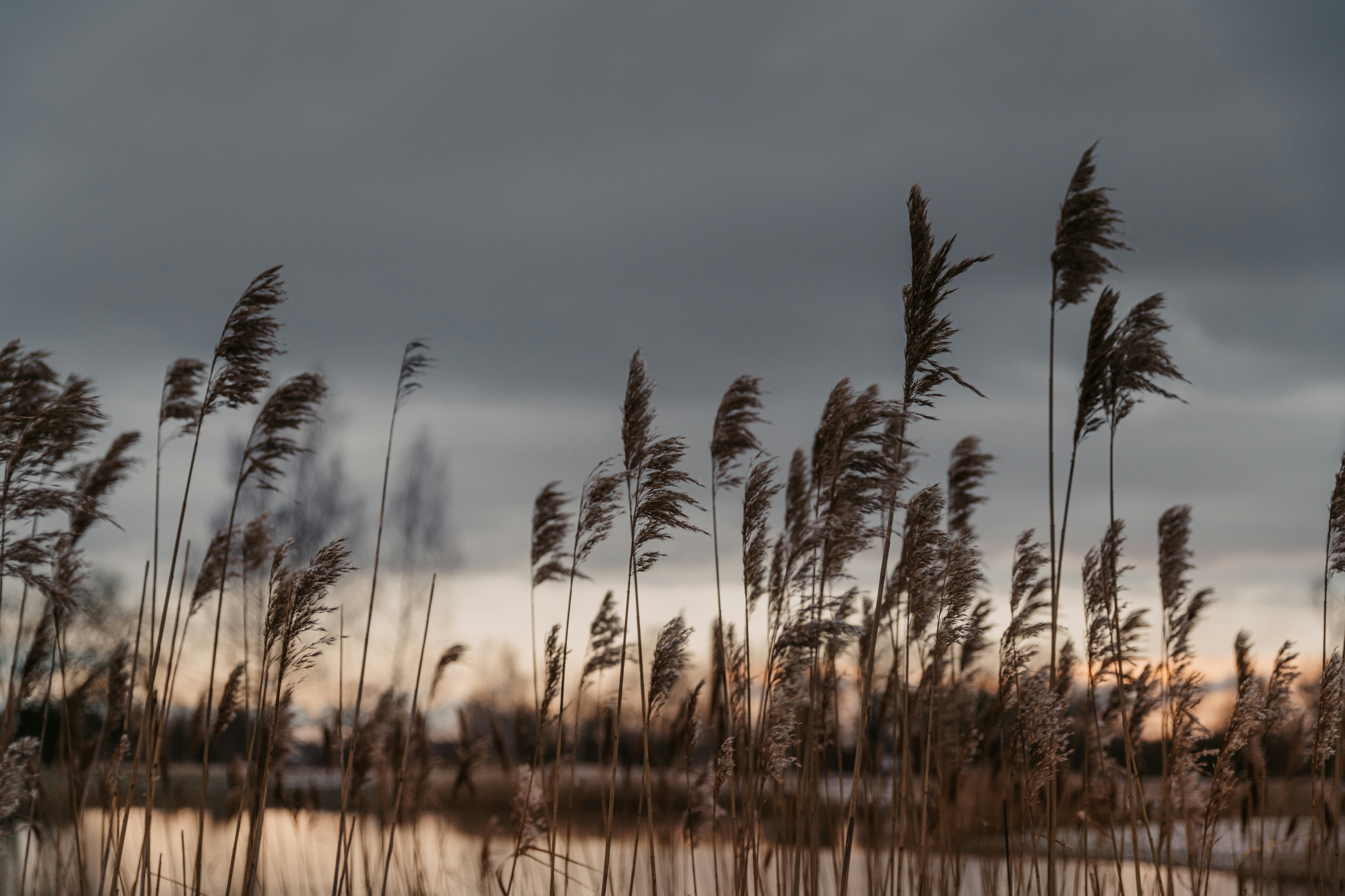 Photo by anitaaustvika